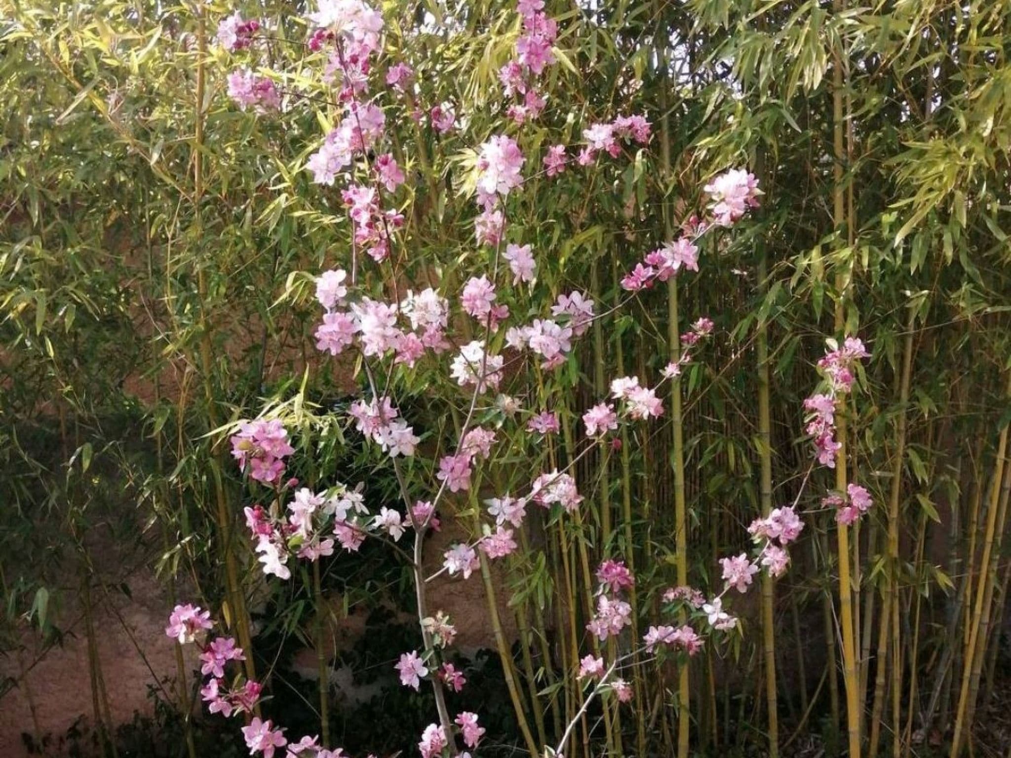 Gallery Image 21