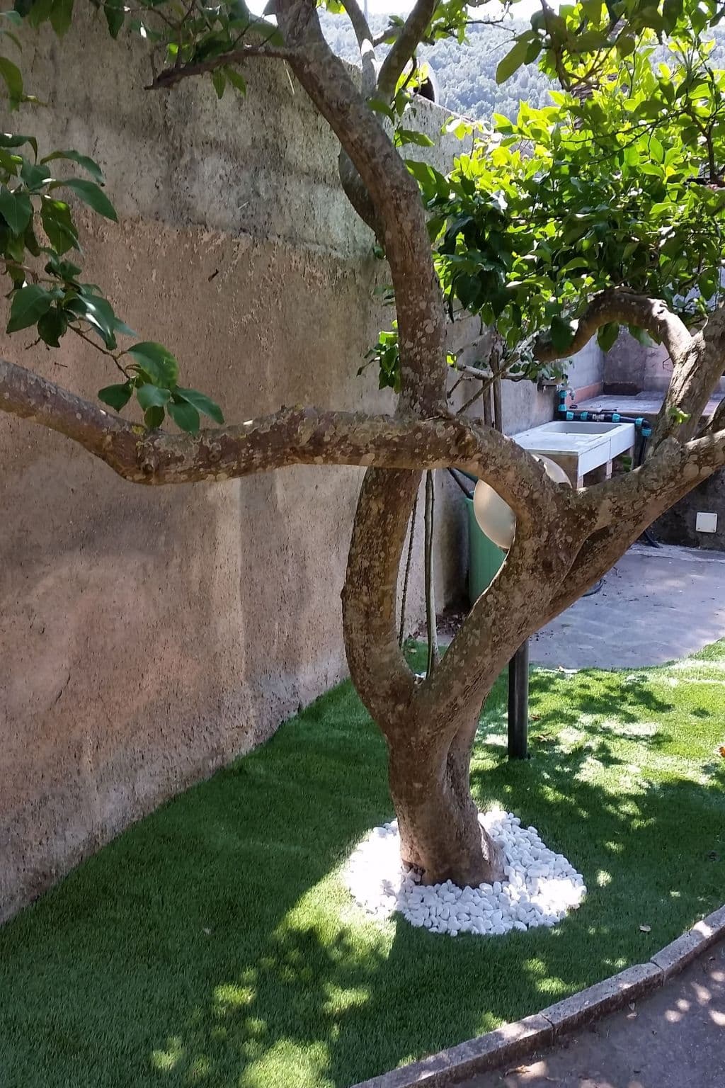 Gallery Image 12
