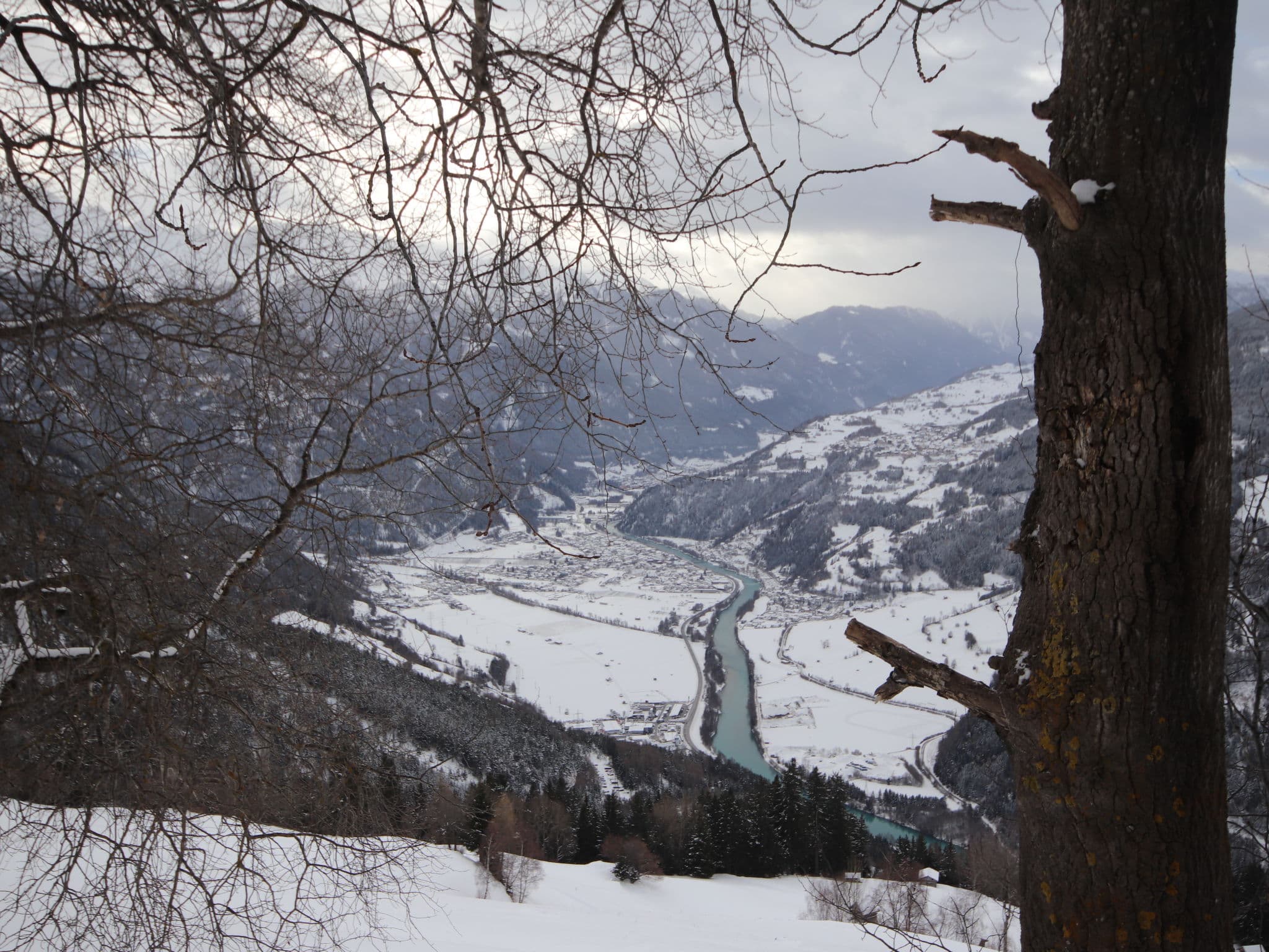 View