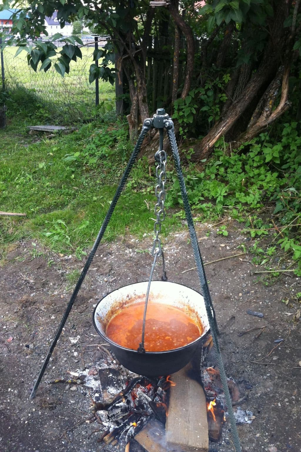 Gallery Image 10