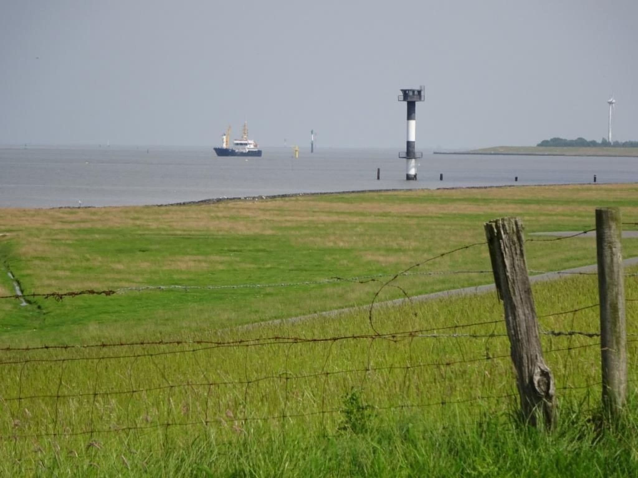 View