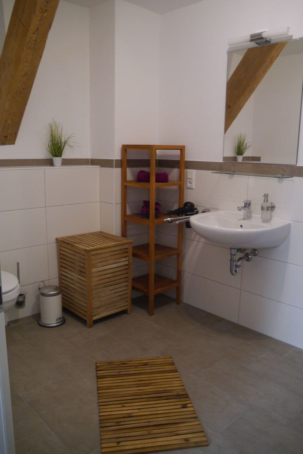 Bathroom / Wellness