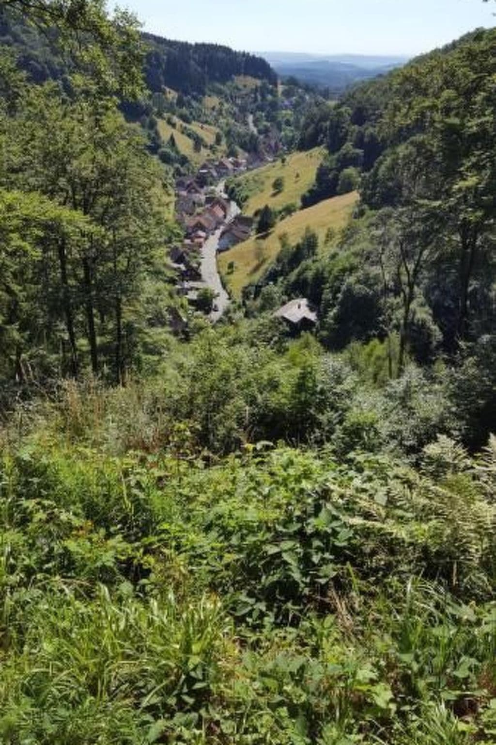 View
