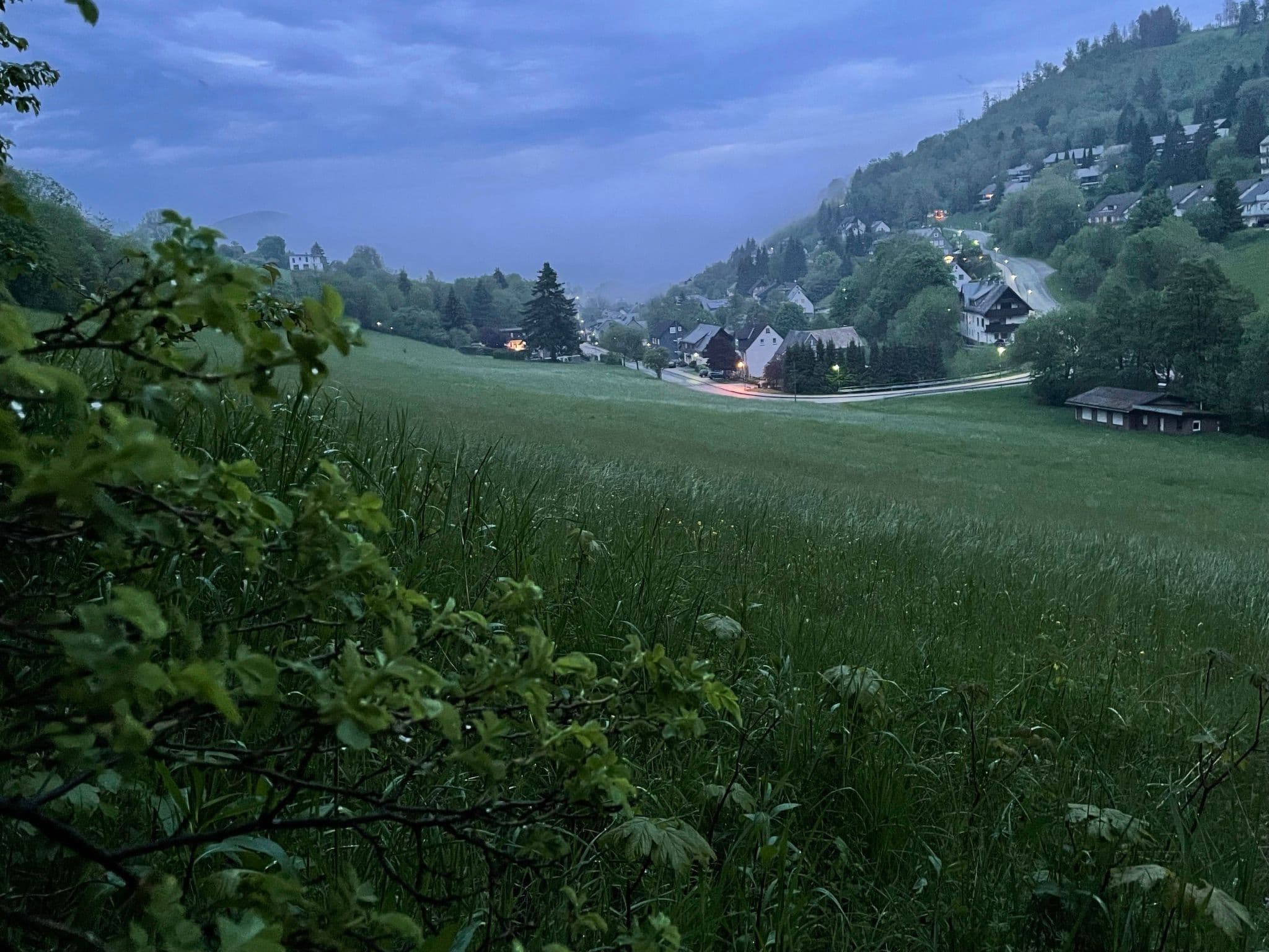 View