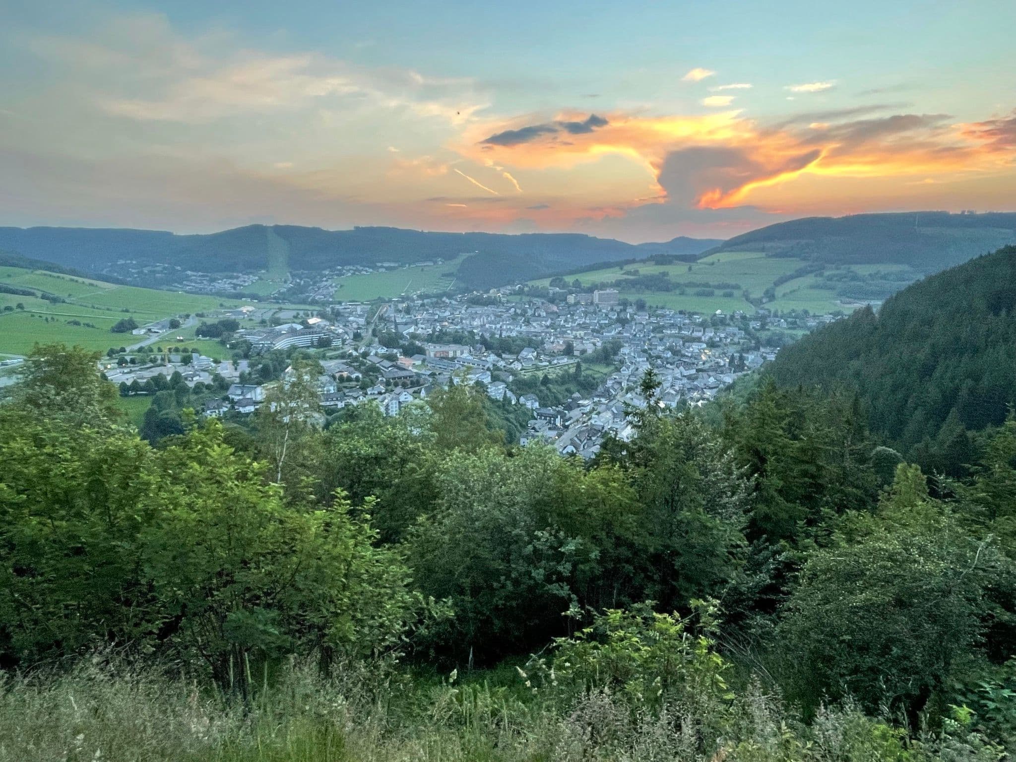 View