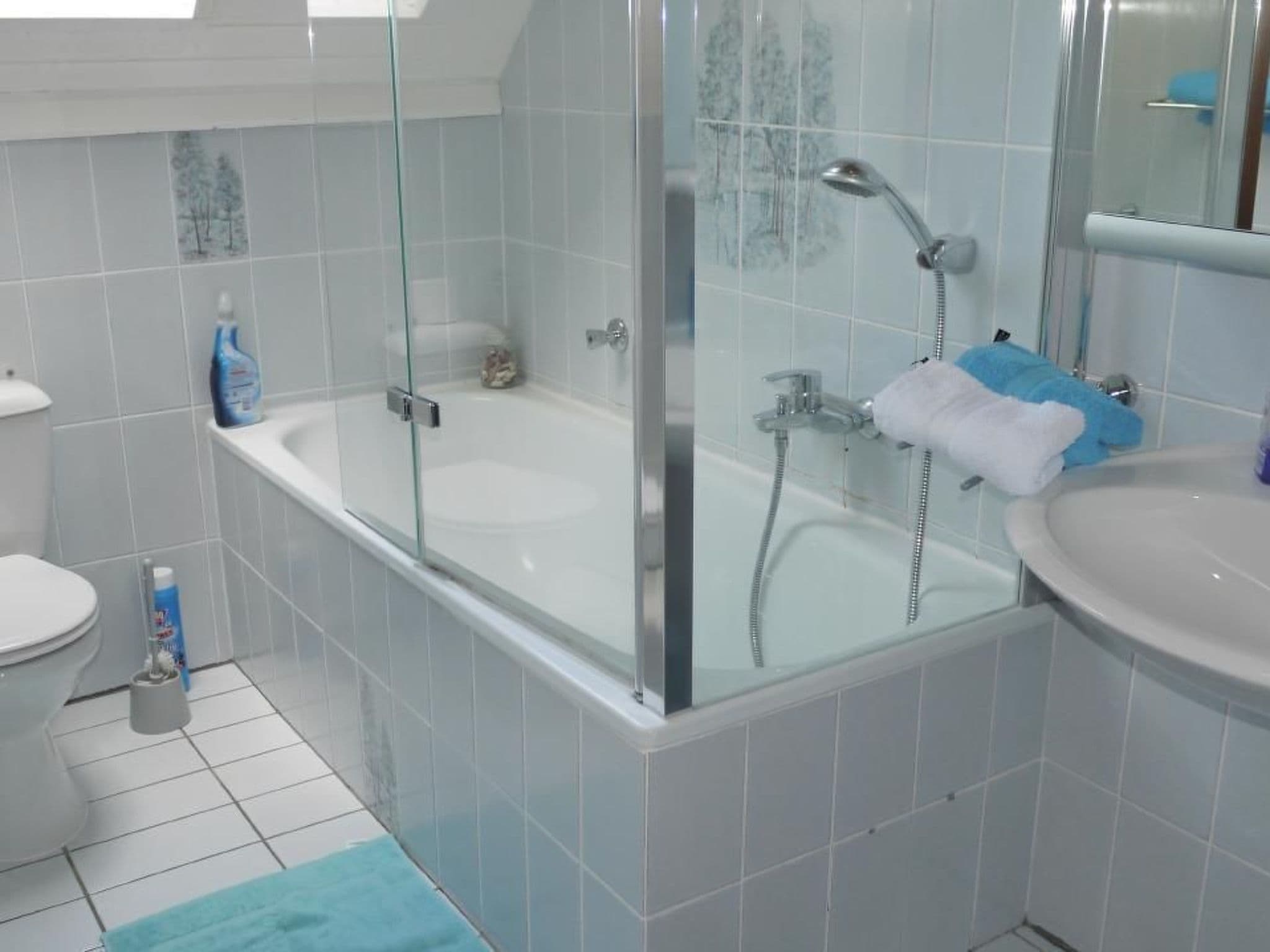 Bathroom / Wellness