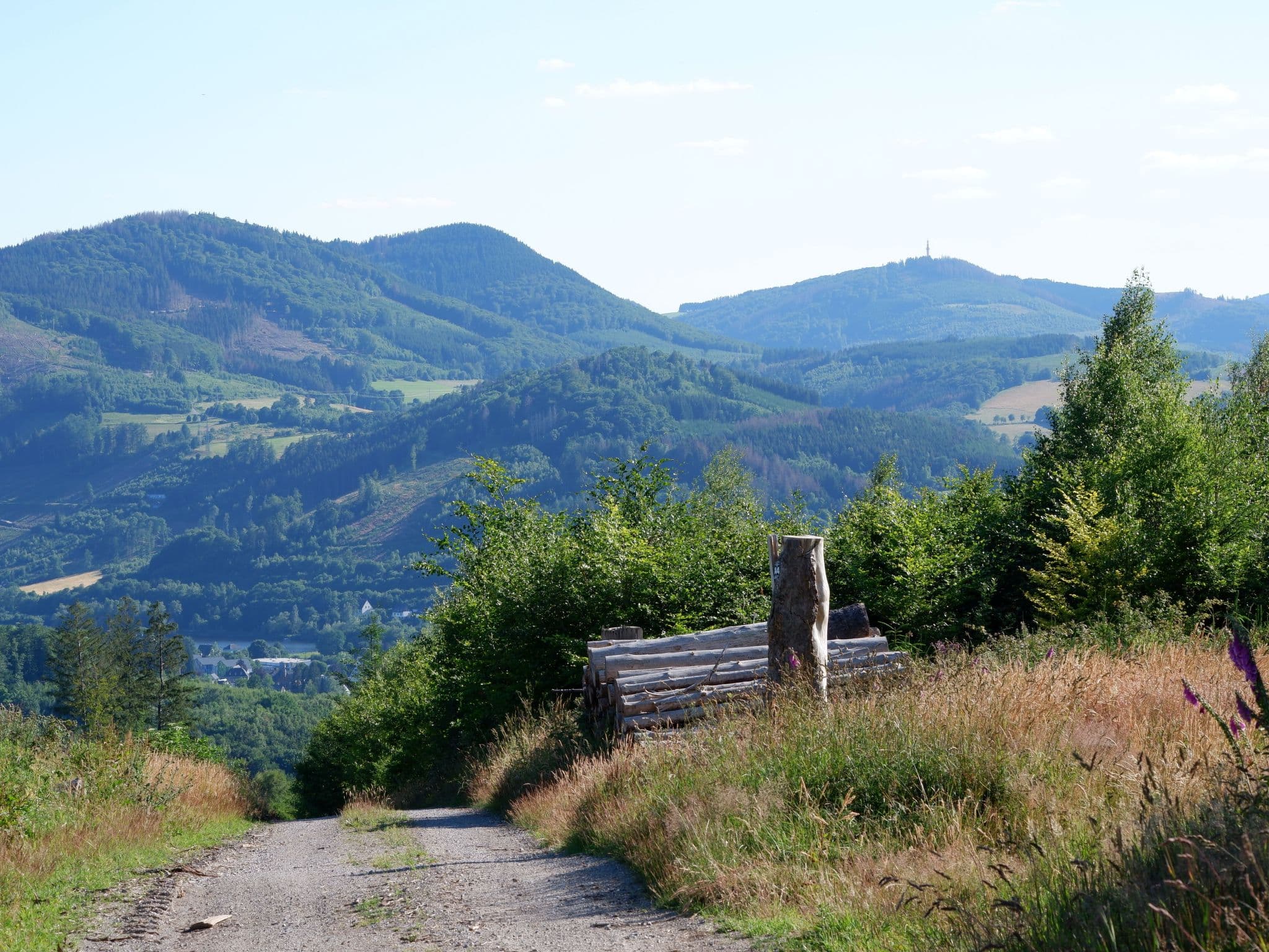 View