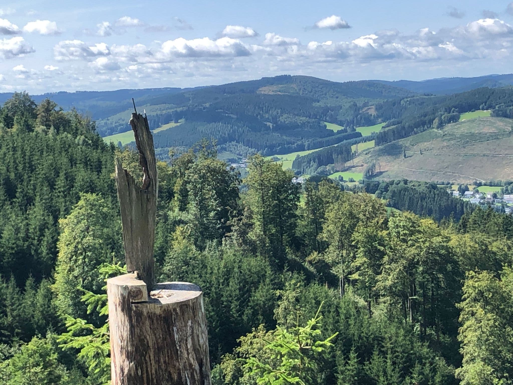 View