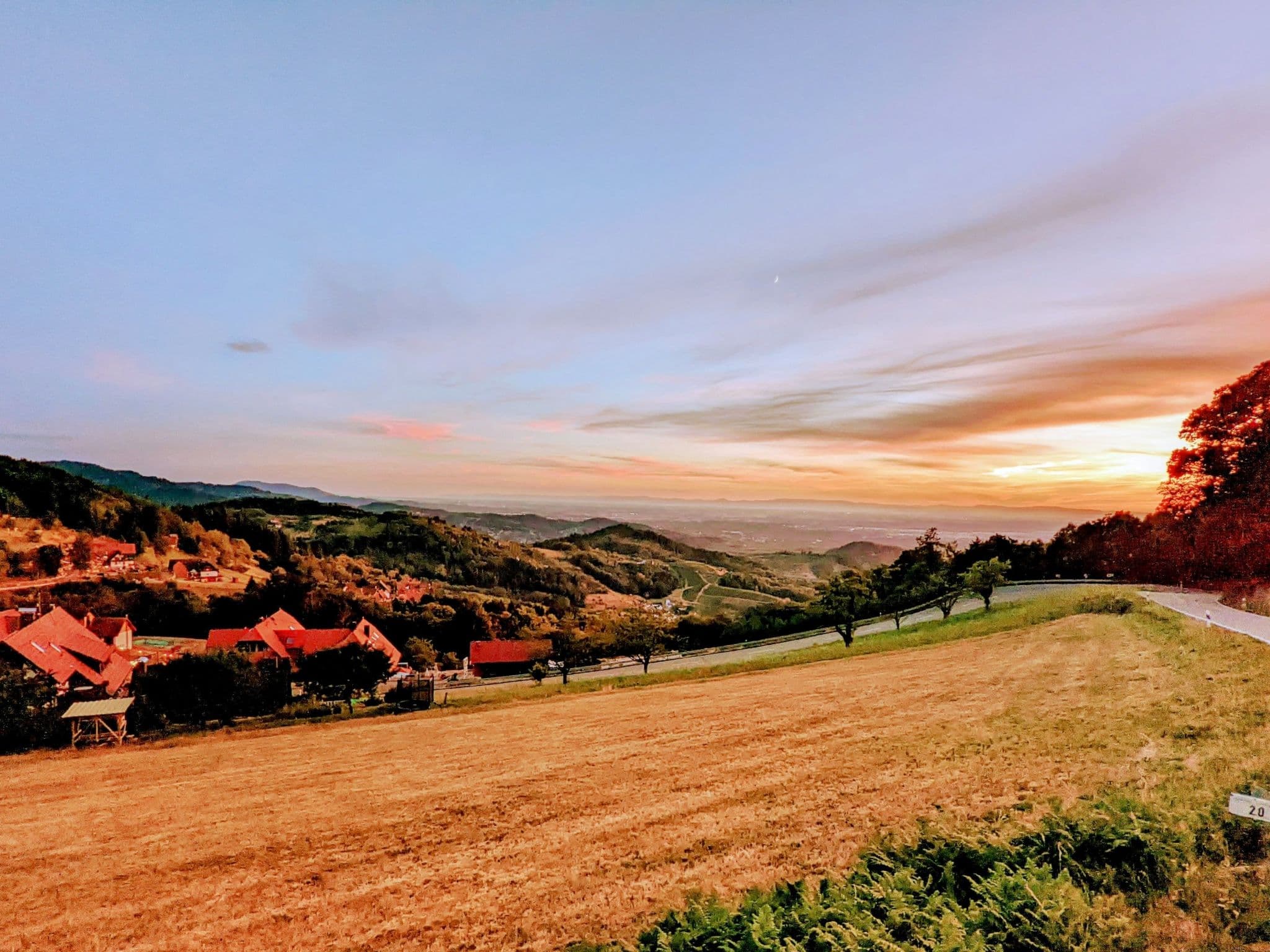 View