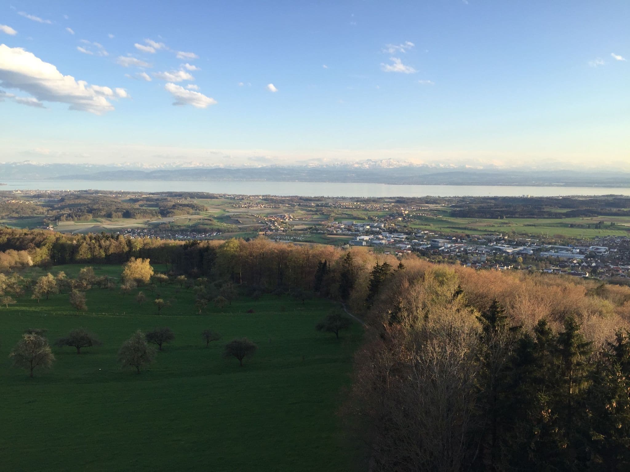 View