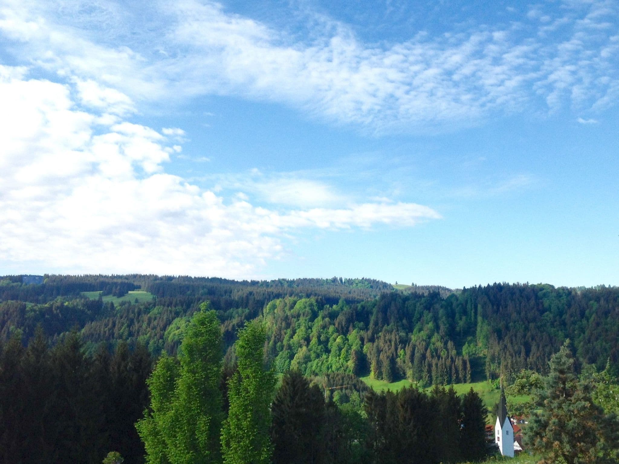 View