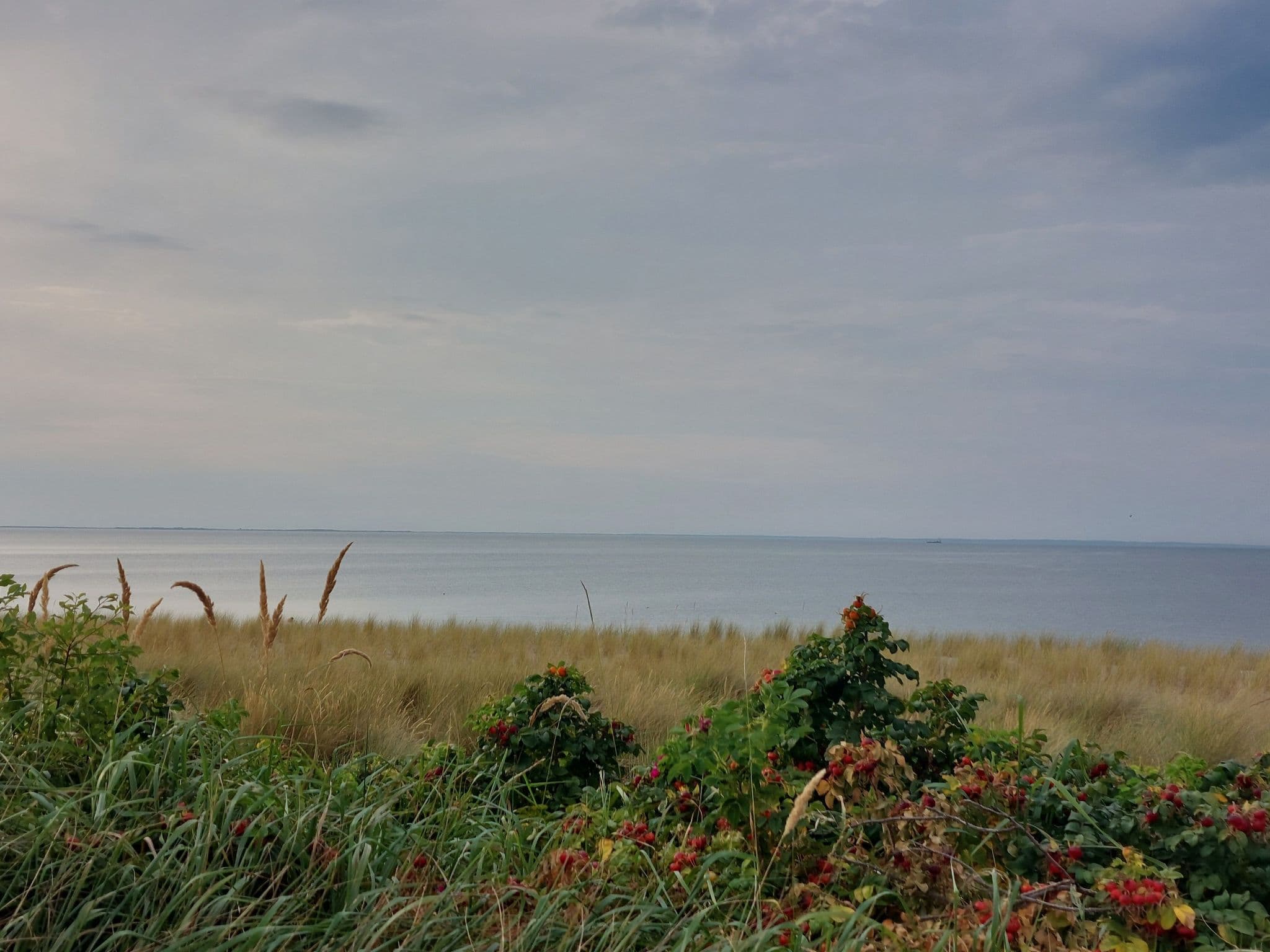View