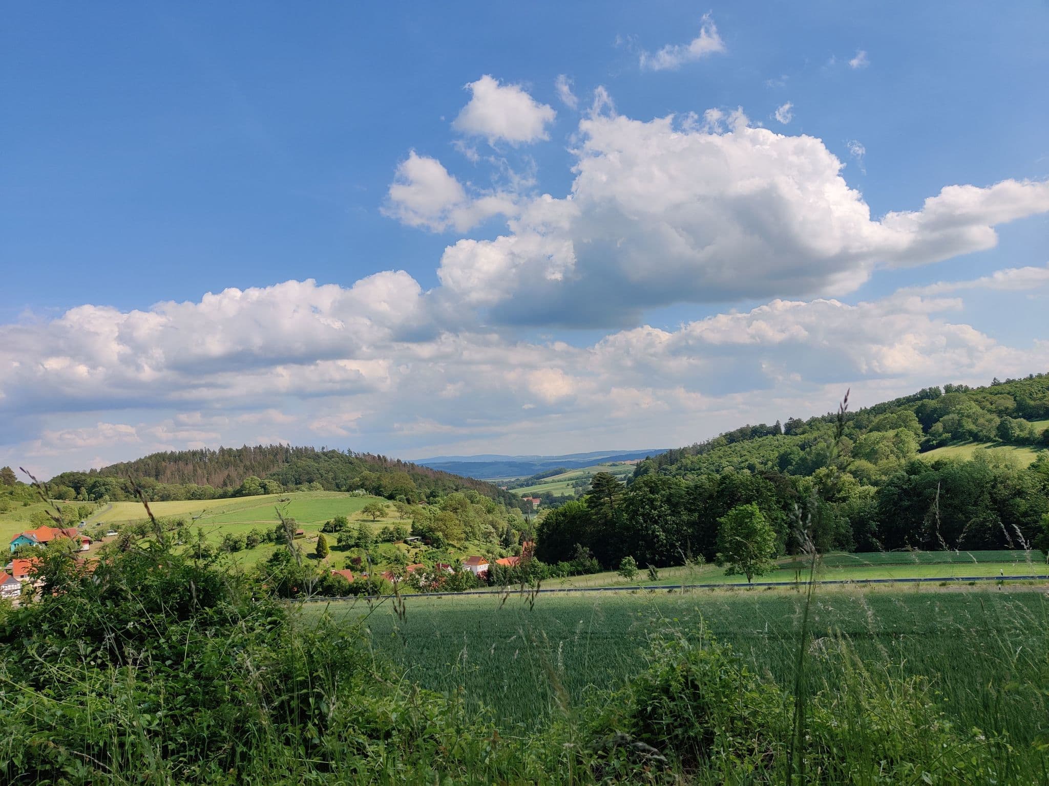 View