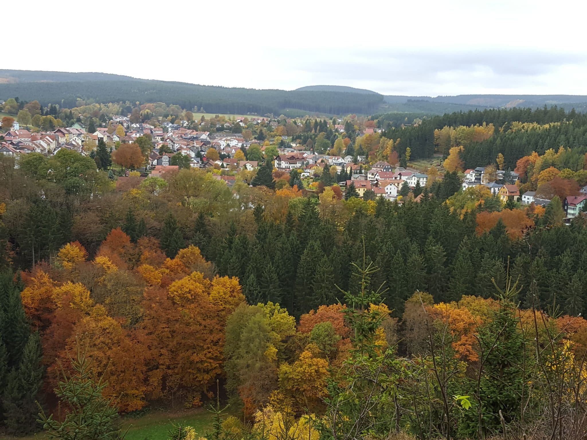 View