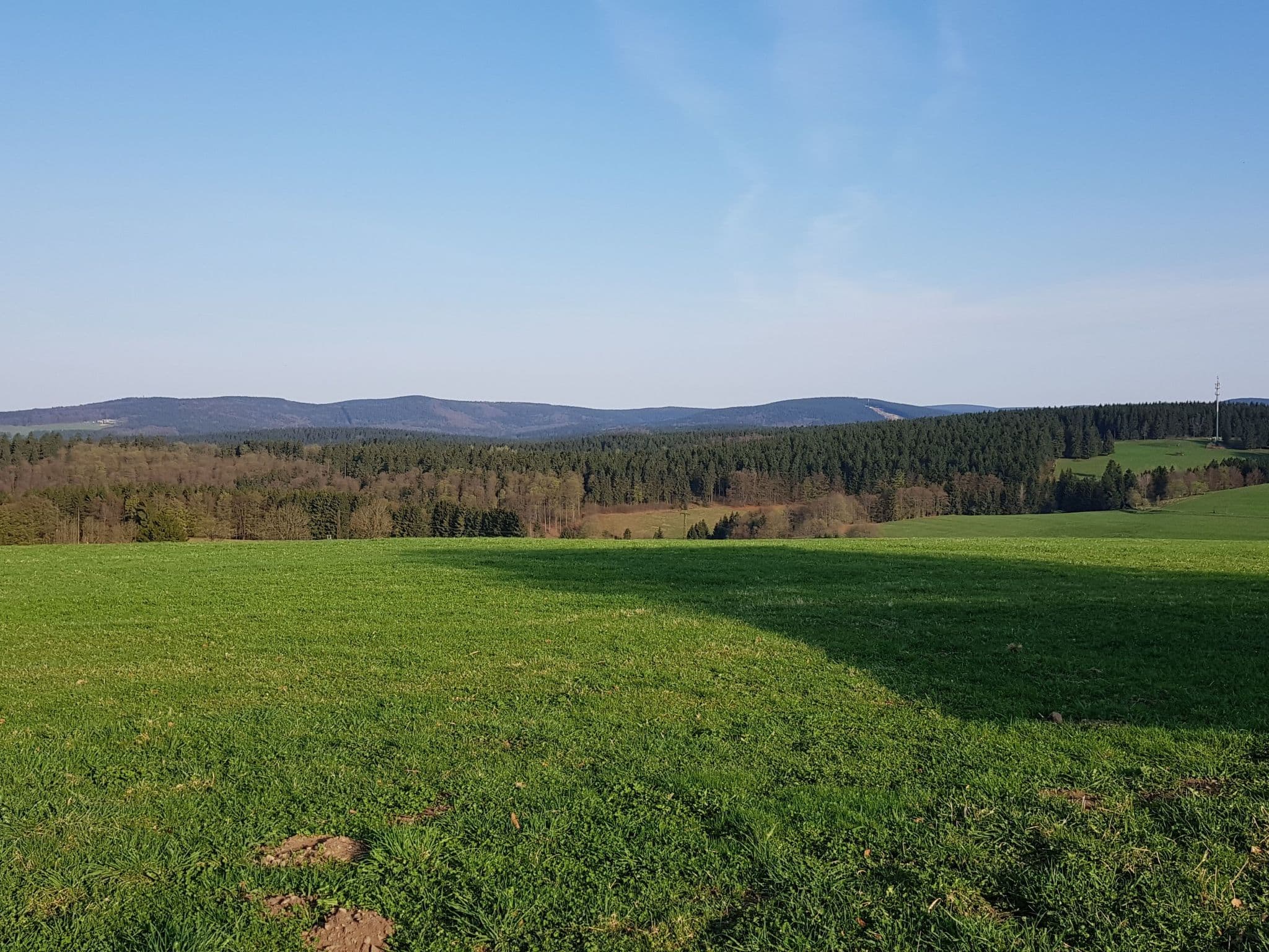 View