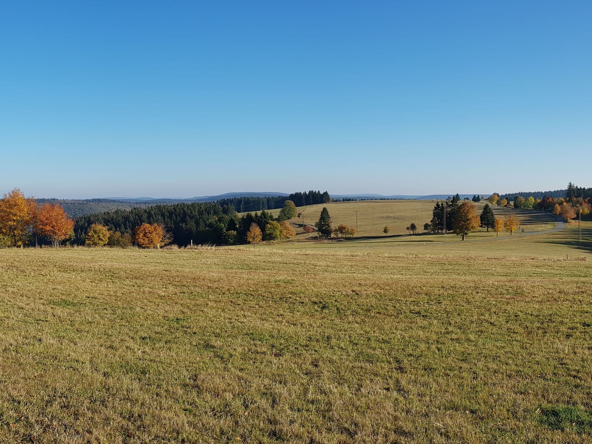 View