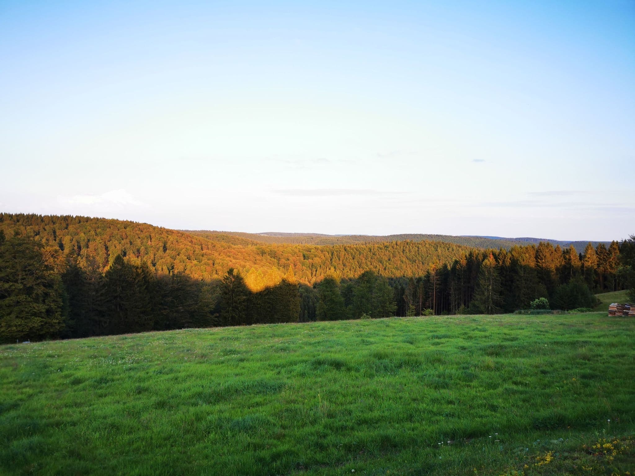 View
