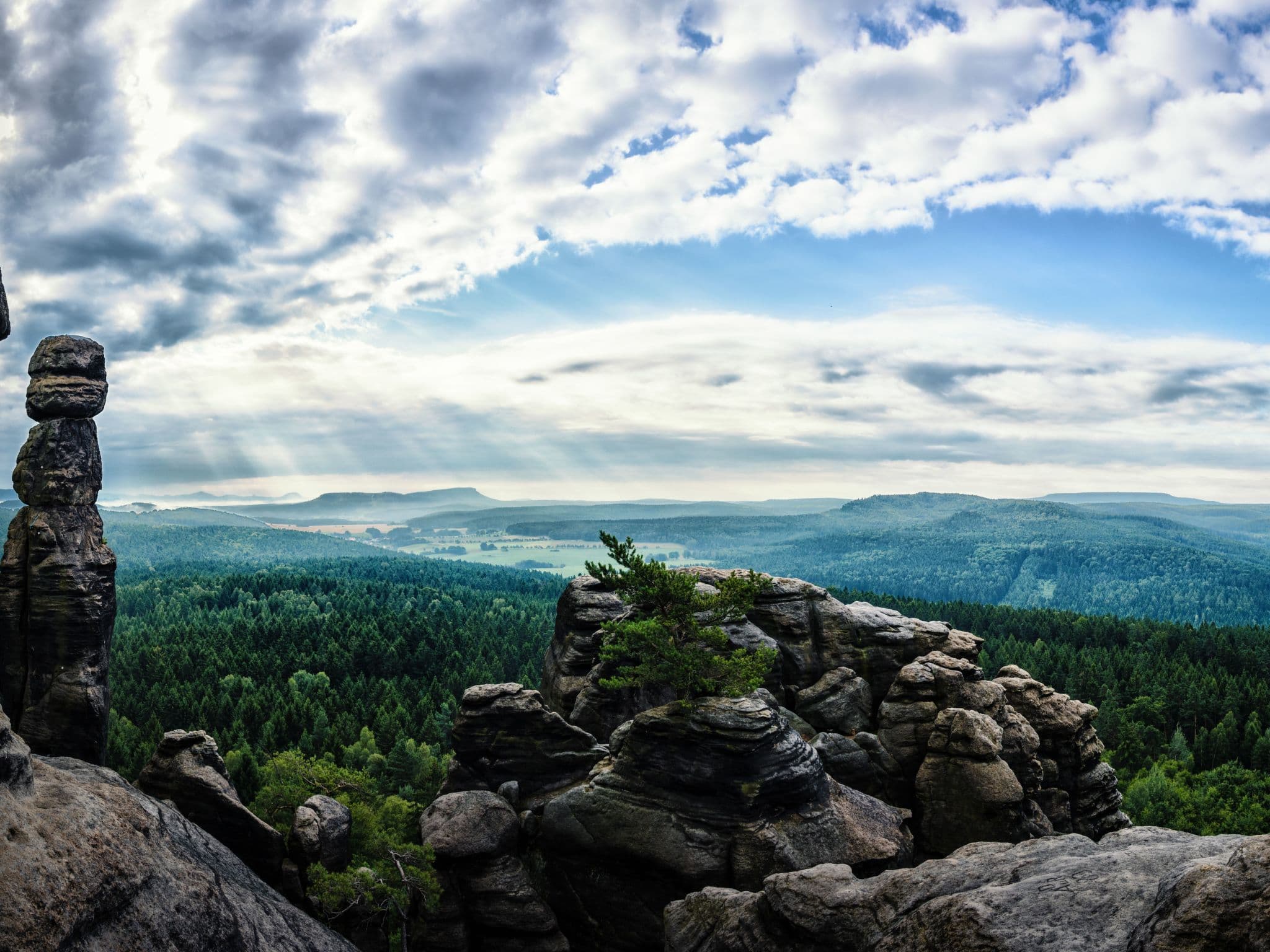 View