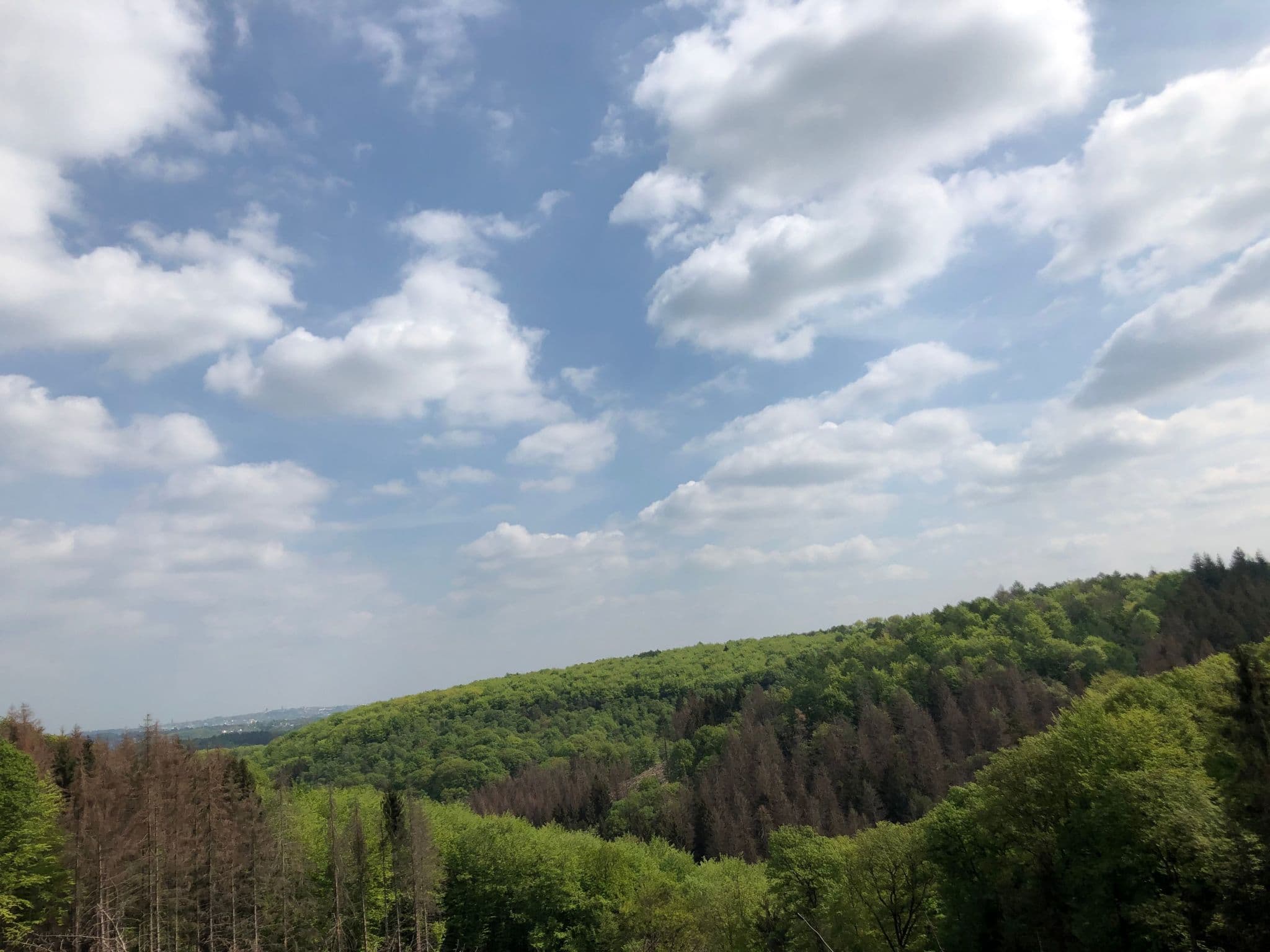View