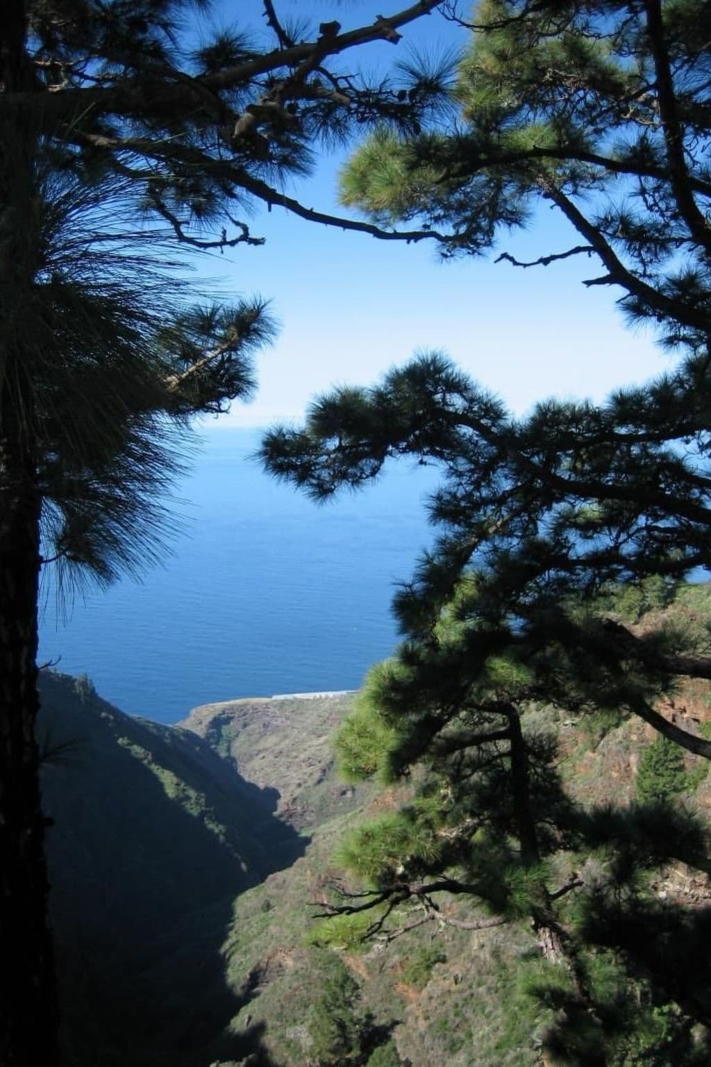View