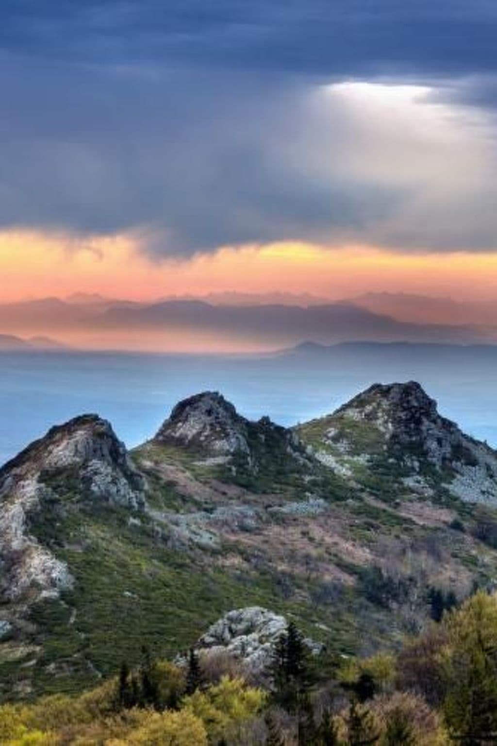 View