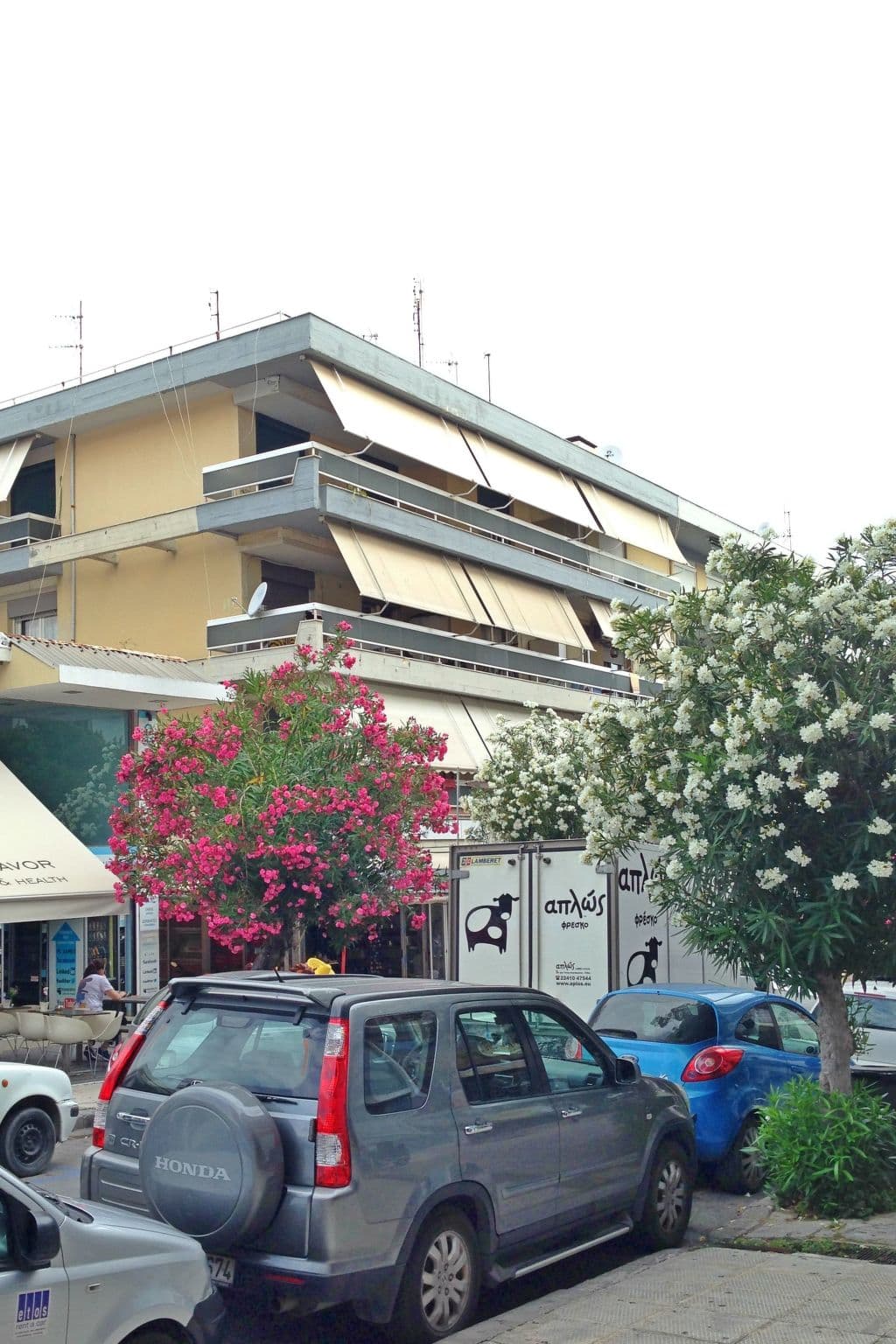 Gallery Image 12