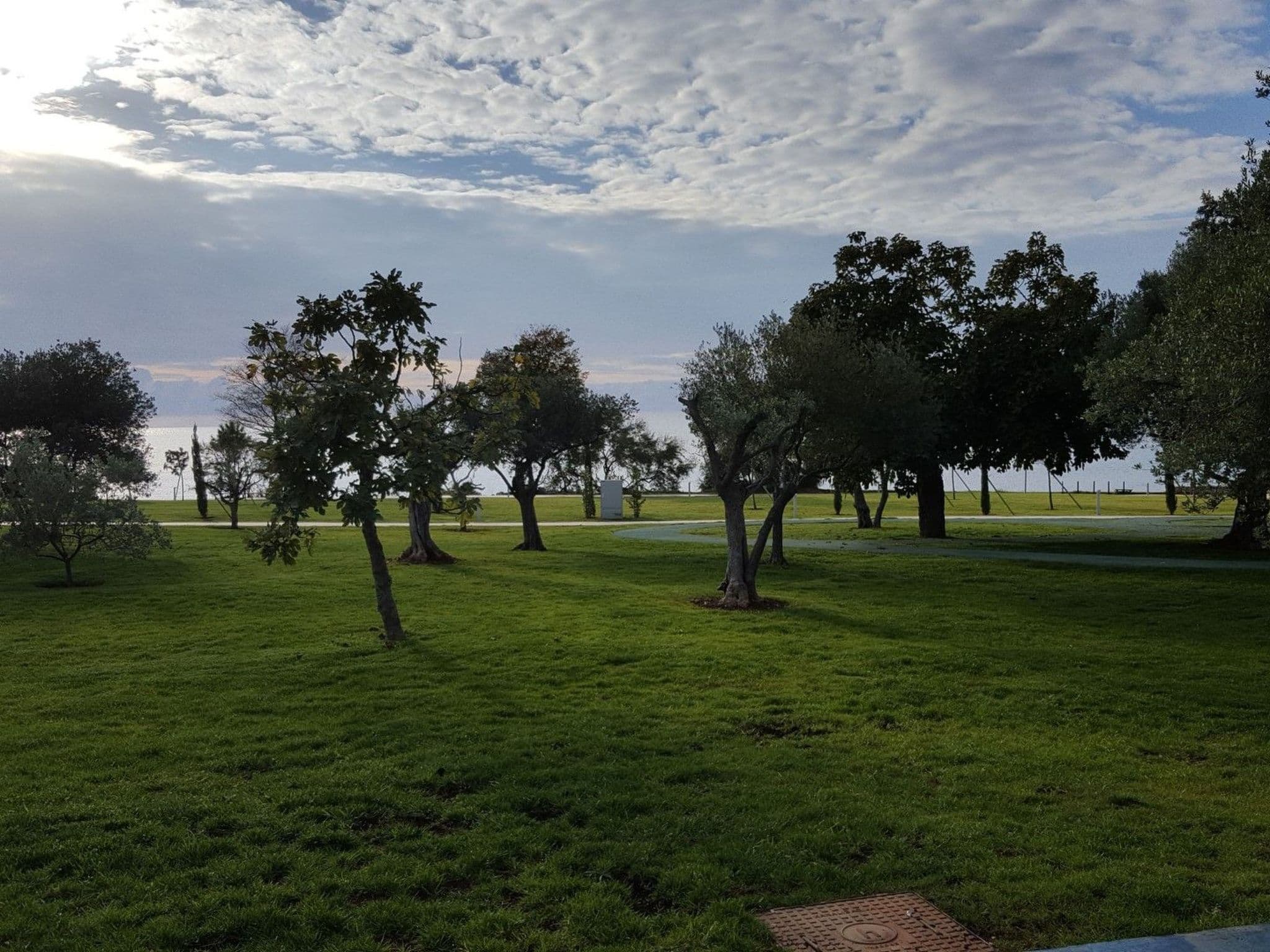 View