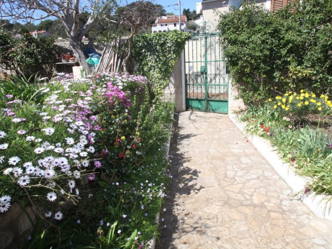 Large Image