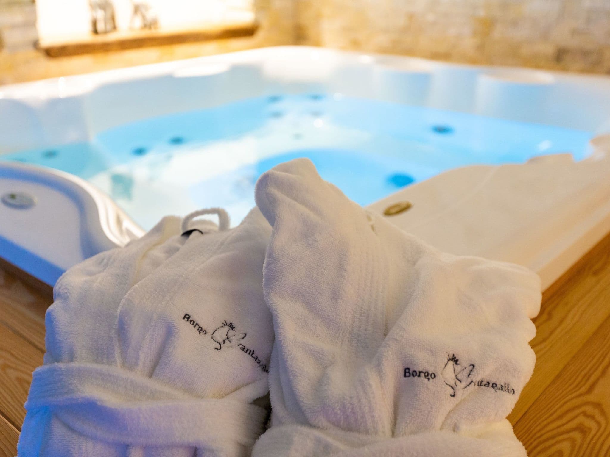 Bathroom / Wellness