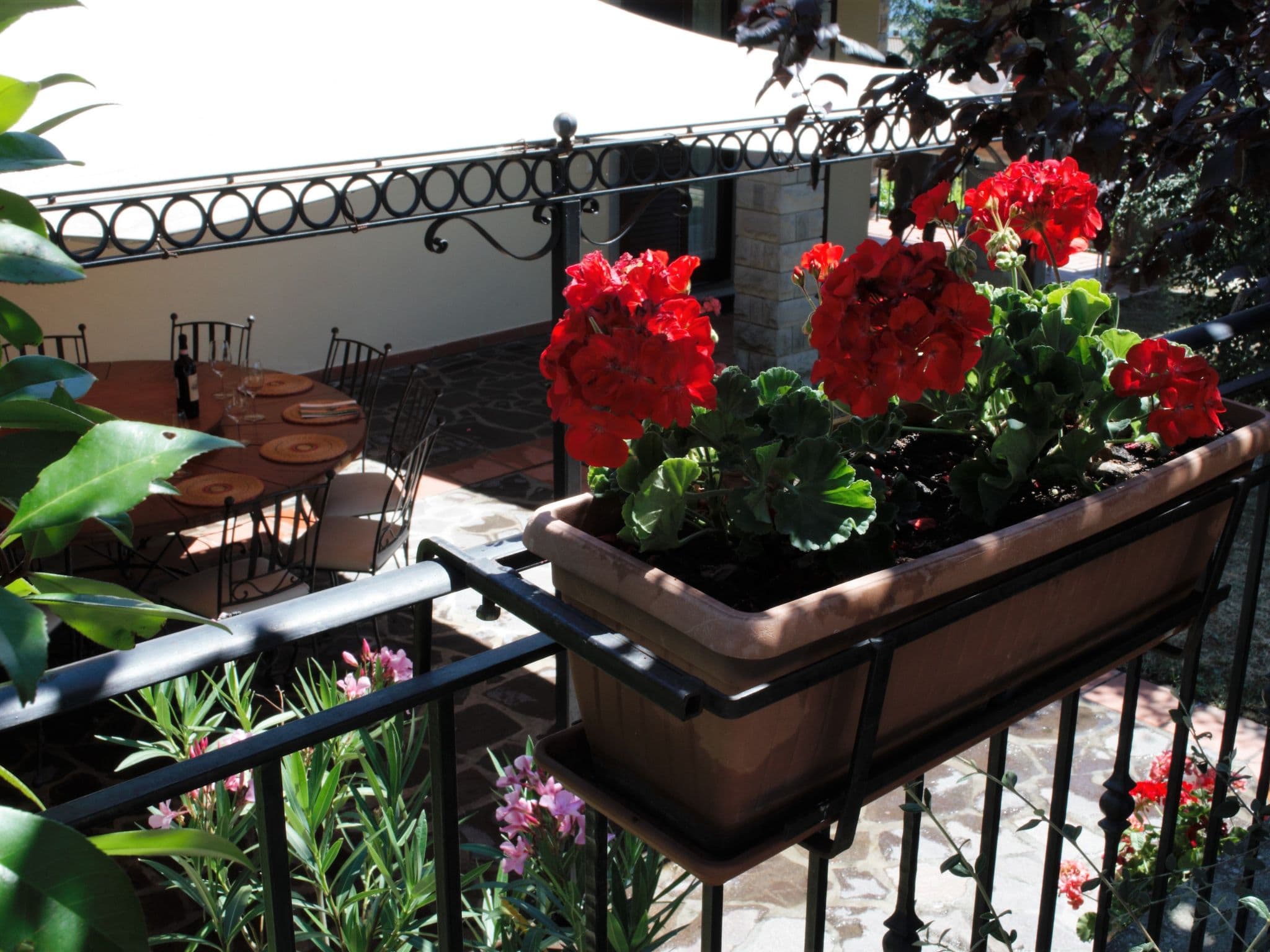 Terrace