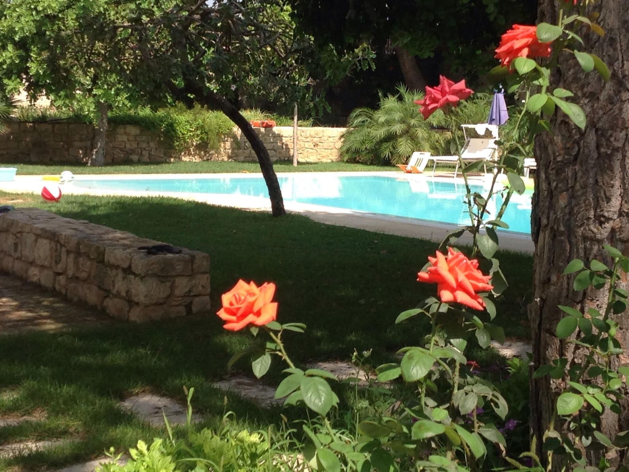 Pool Outdoor