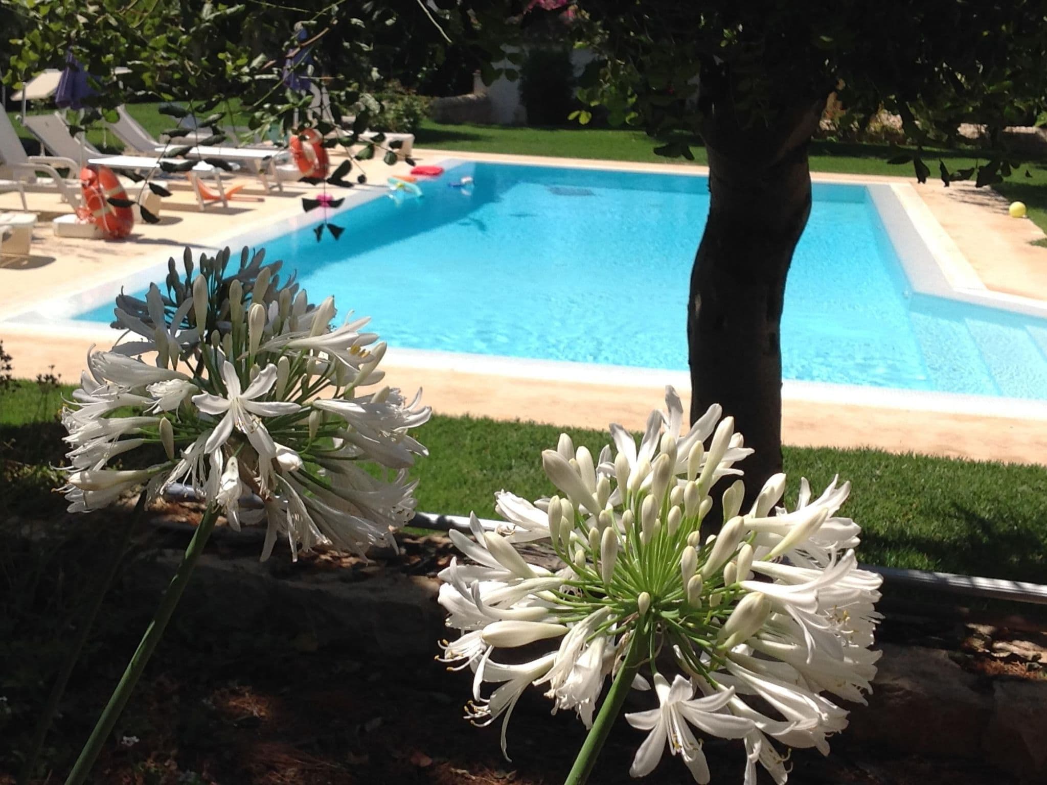 Pool Outdoor