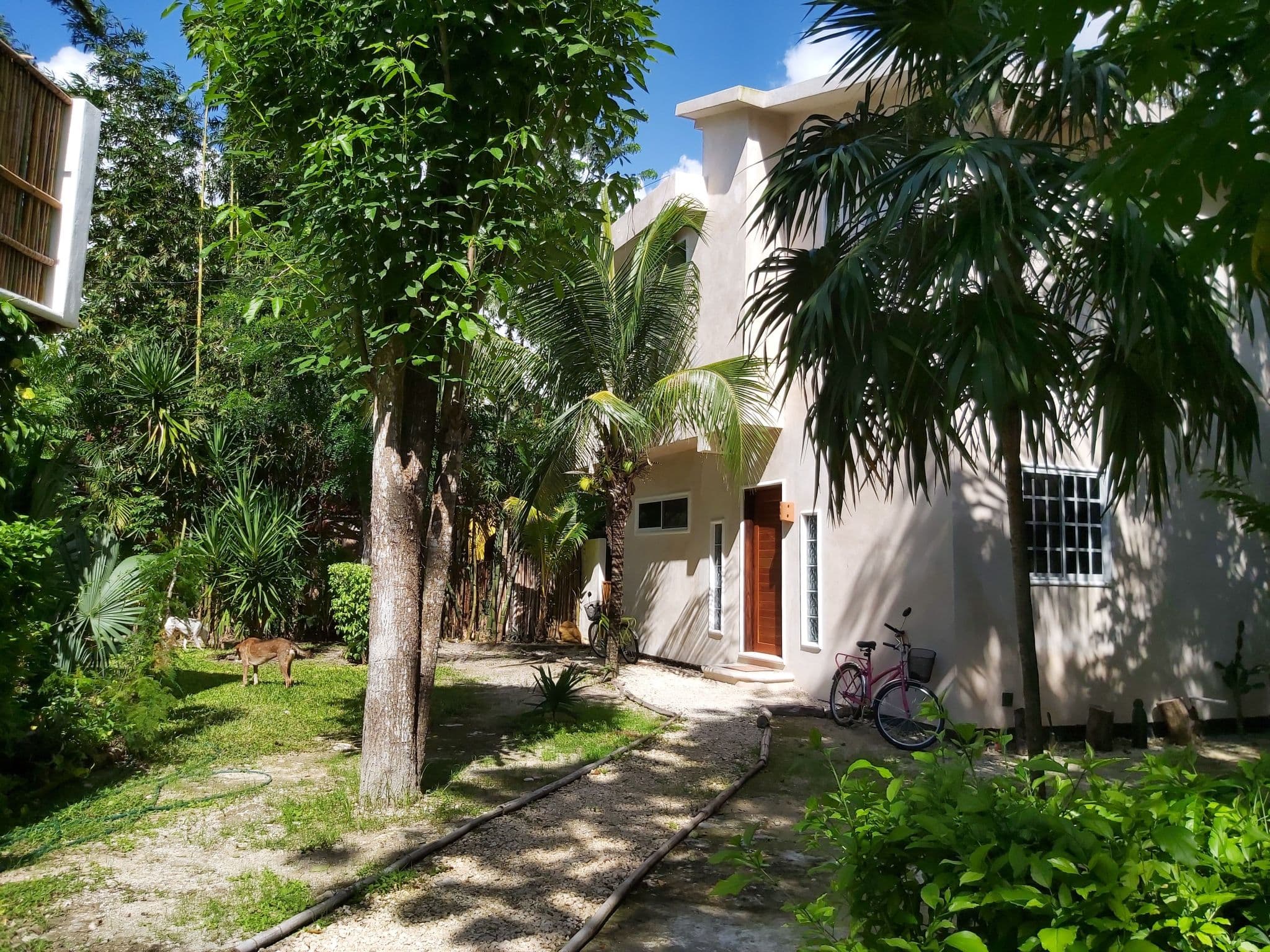 House