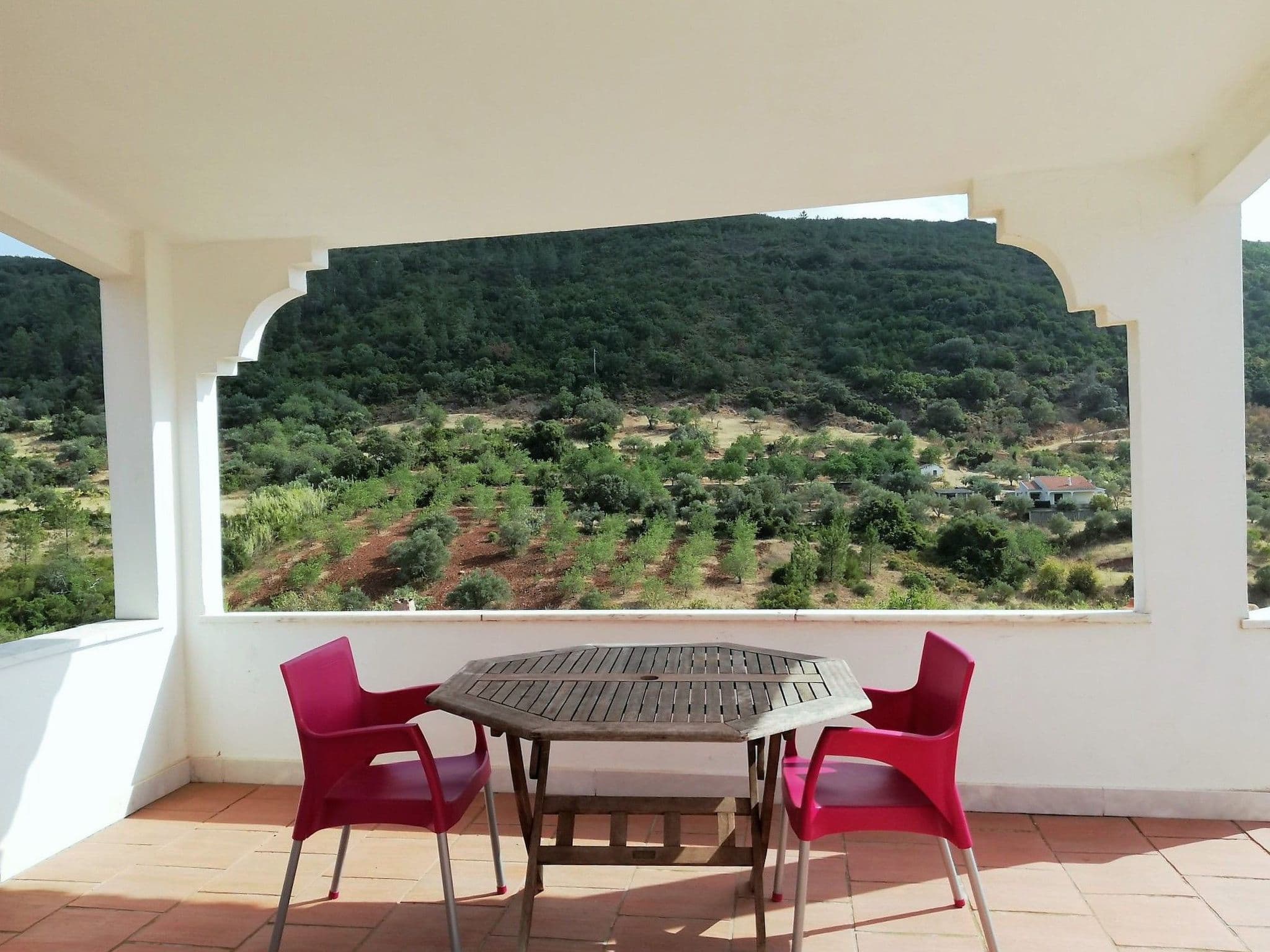 Terrace
