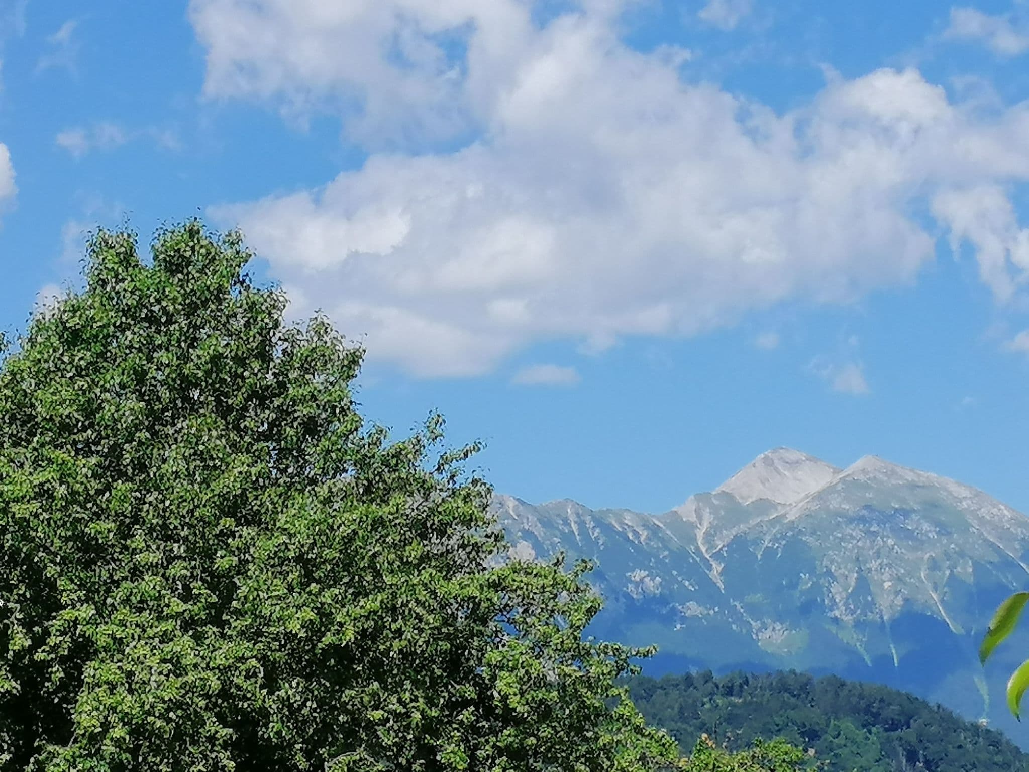 View
