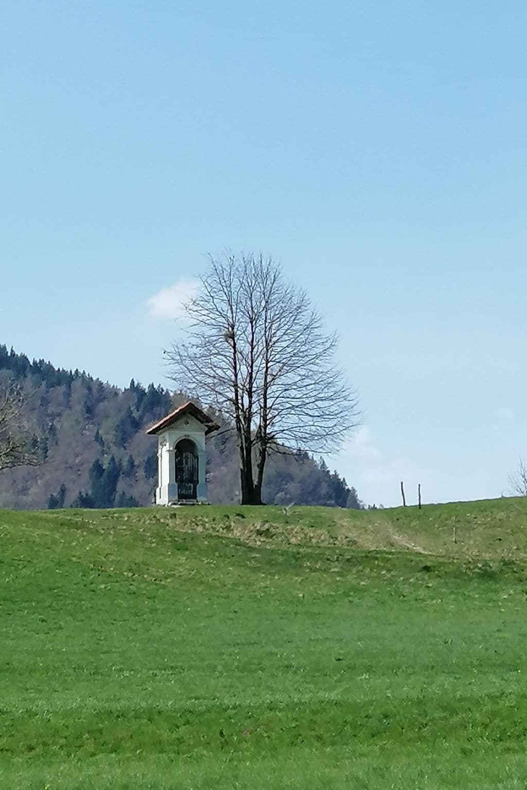 View
