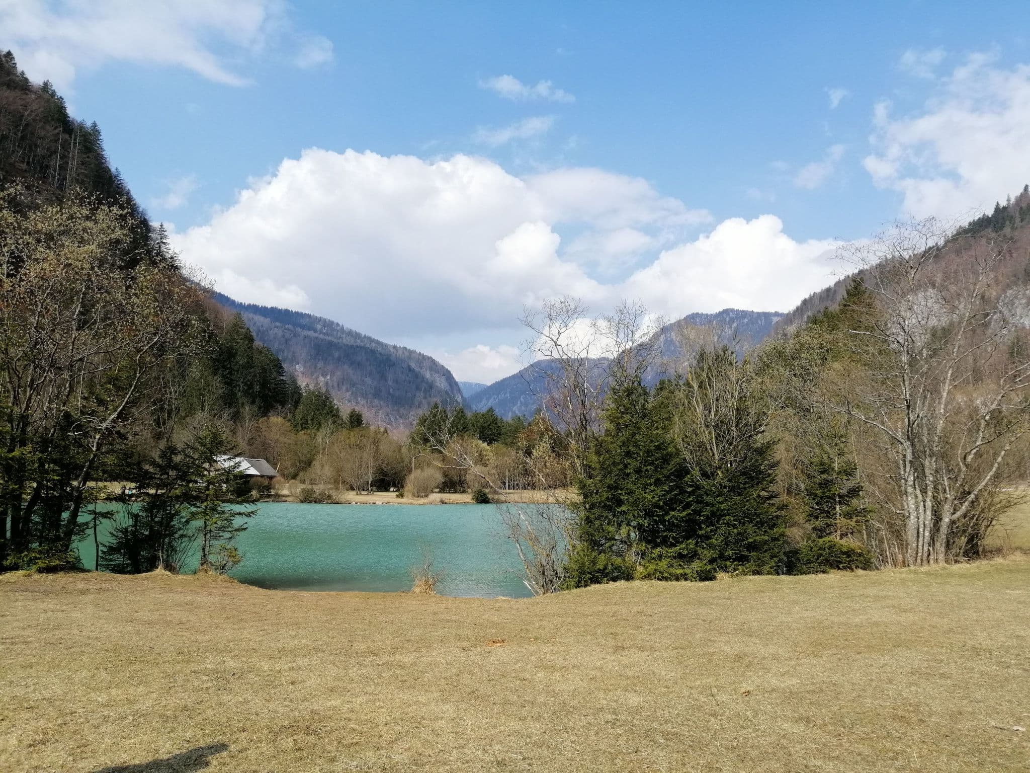 View