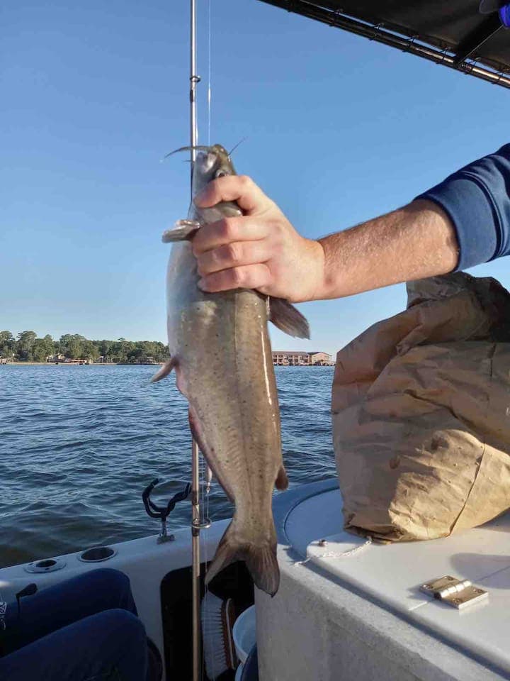 Fishing for catfish on Lake Conroe. One day we caught 40 catfish! Lake Conroe is less than 10 minutes away from our home. Enjoy water sports and beautiful views!