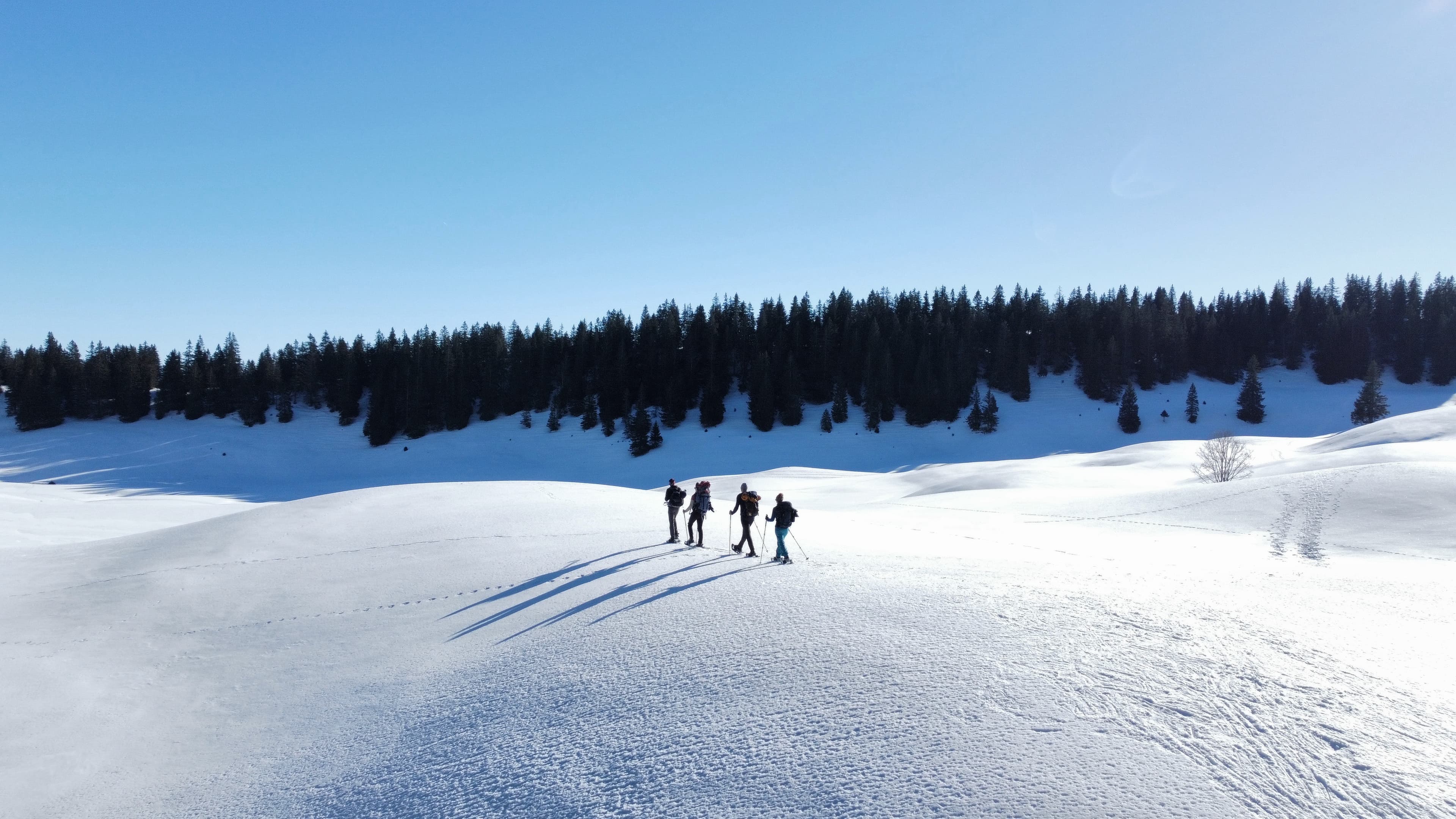 Randonnée en raquettes dans les montagnes du Jura, Les Rousses