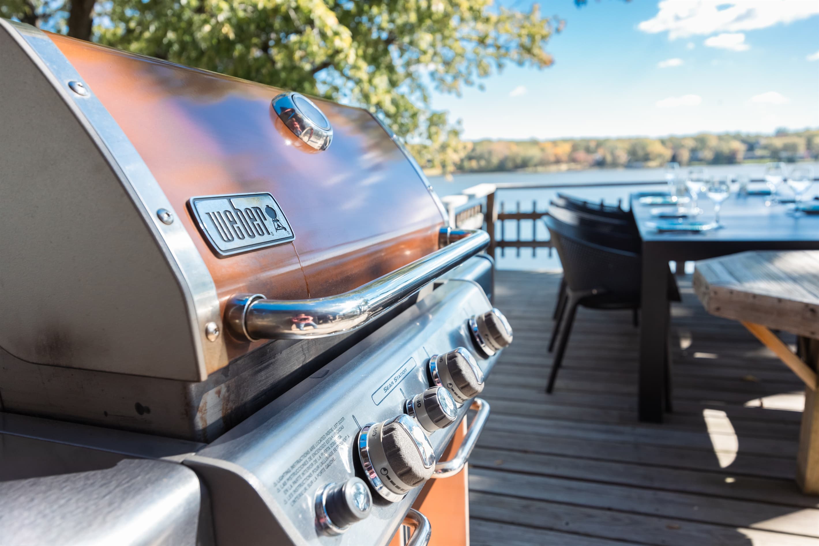 Weber genesis grill