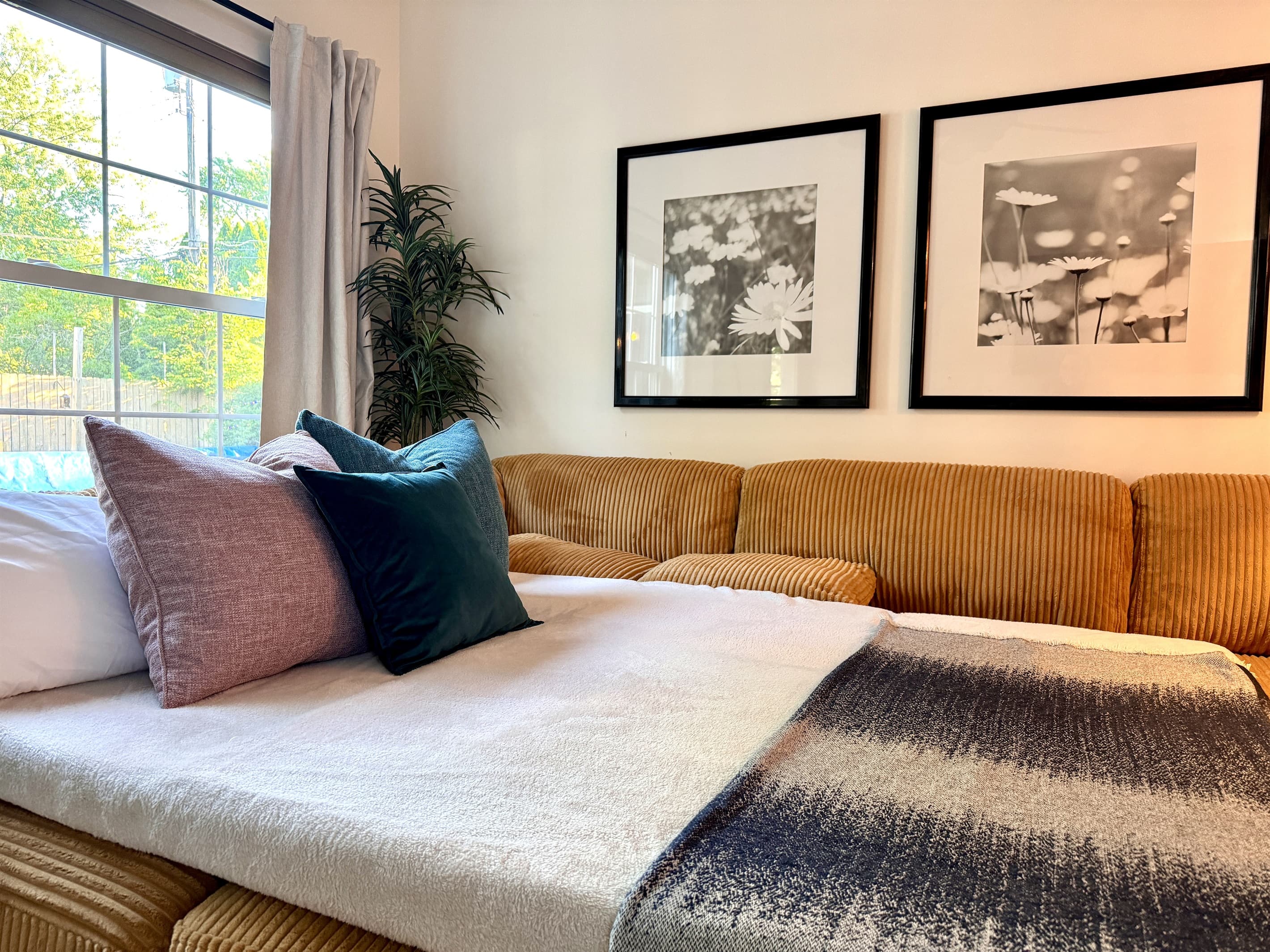 Blackout Curtains | 65" TV