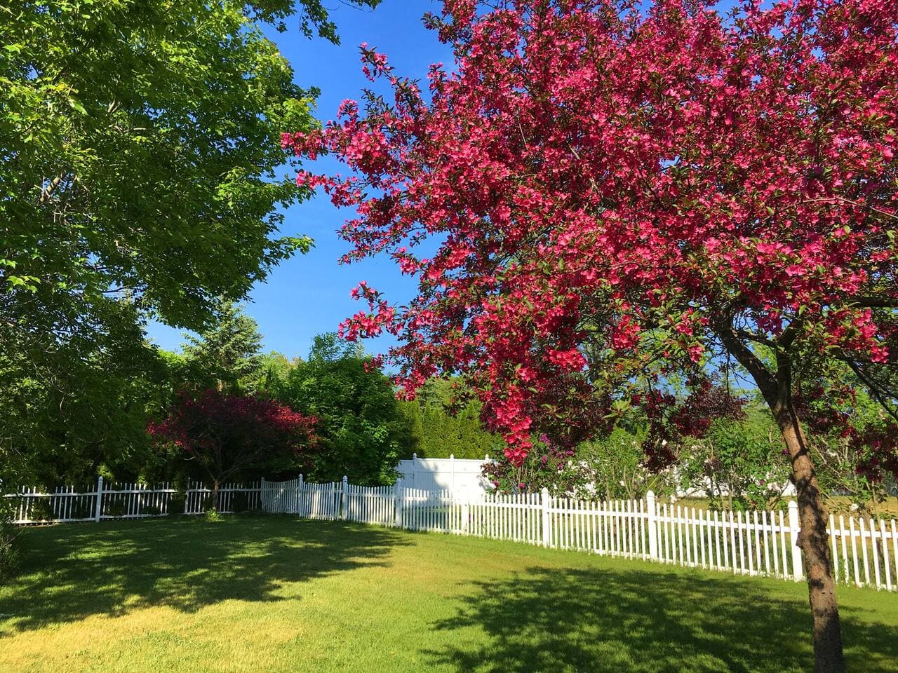 Gallery Image 68