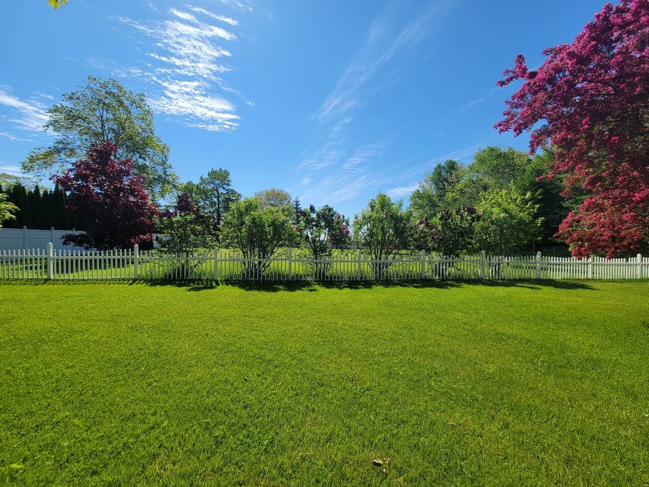 Huge yard