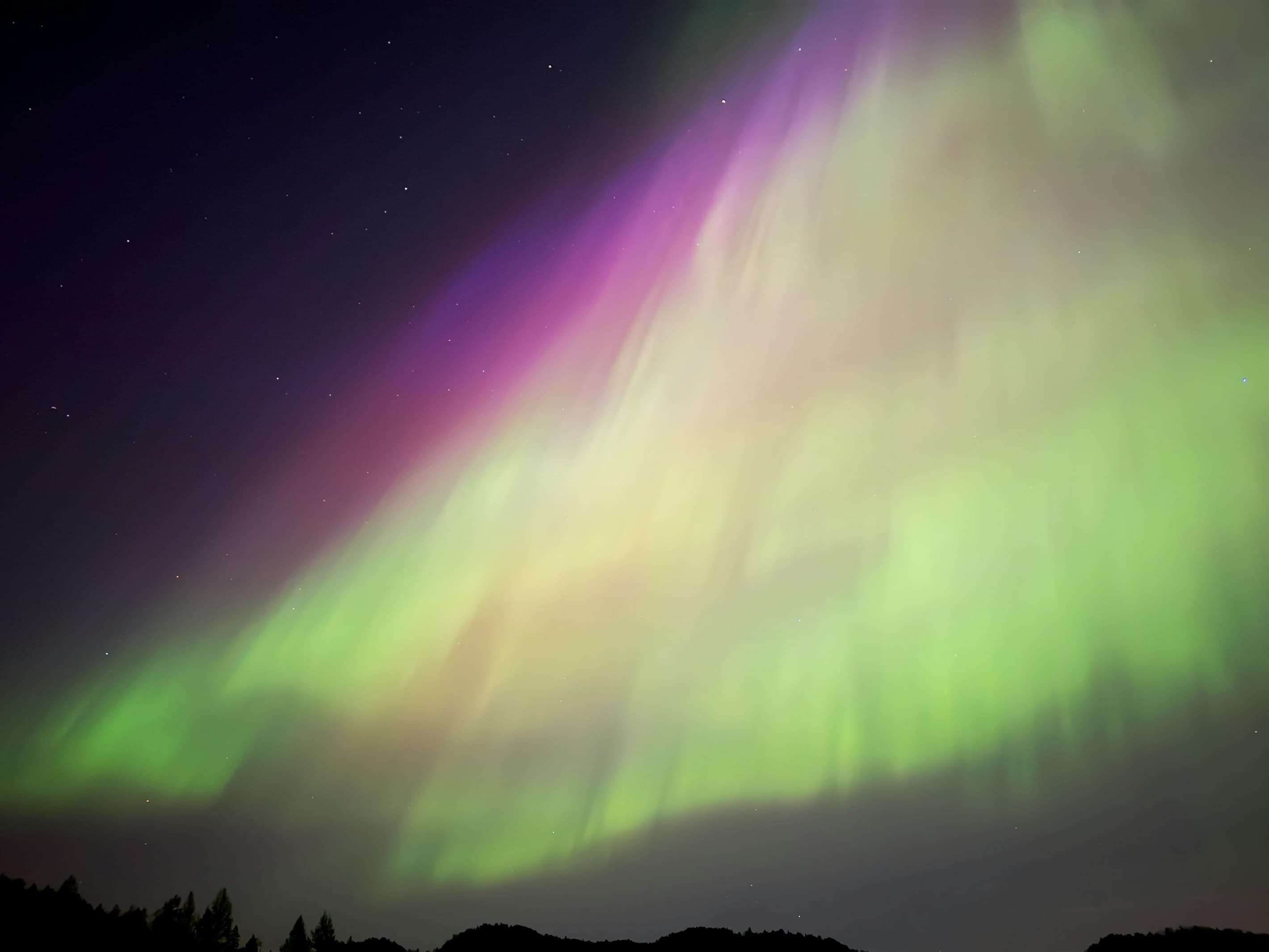 See the Northern Lights