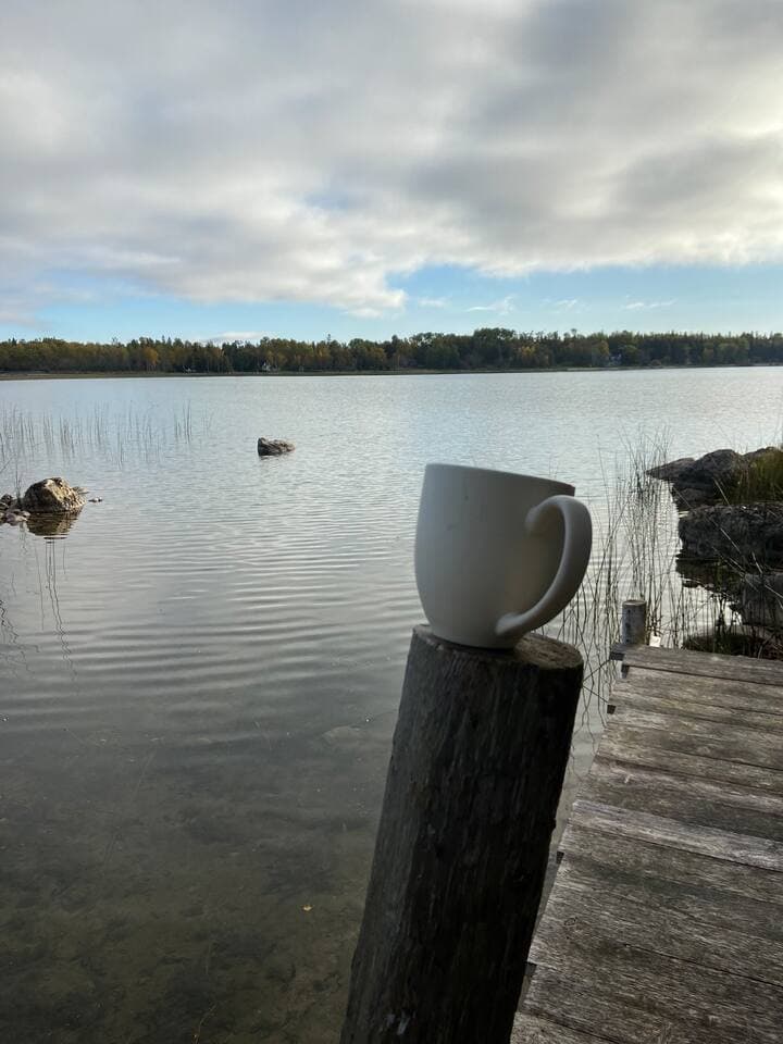 Gallery Image 67