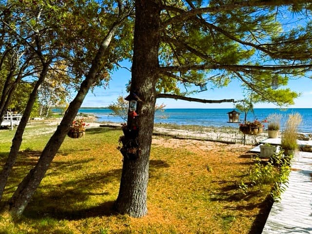 Beautiful Blue Lake Huron Waters under mature pines!