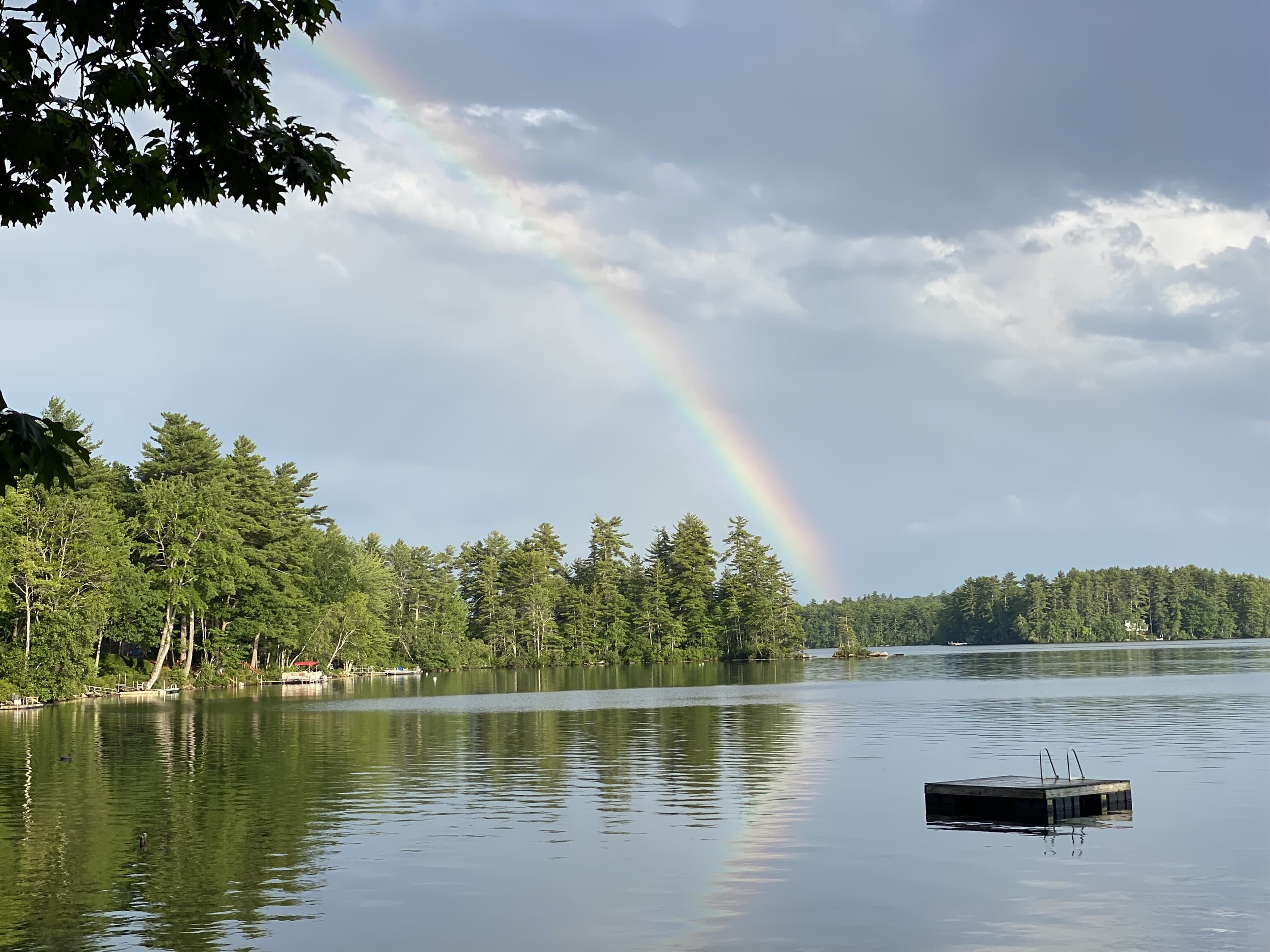 Rainbow afternoons!