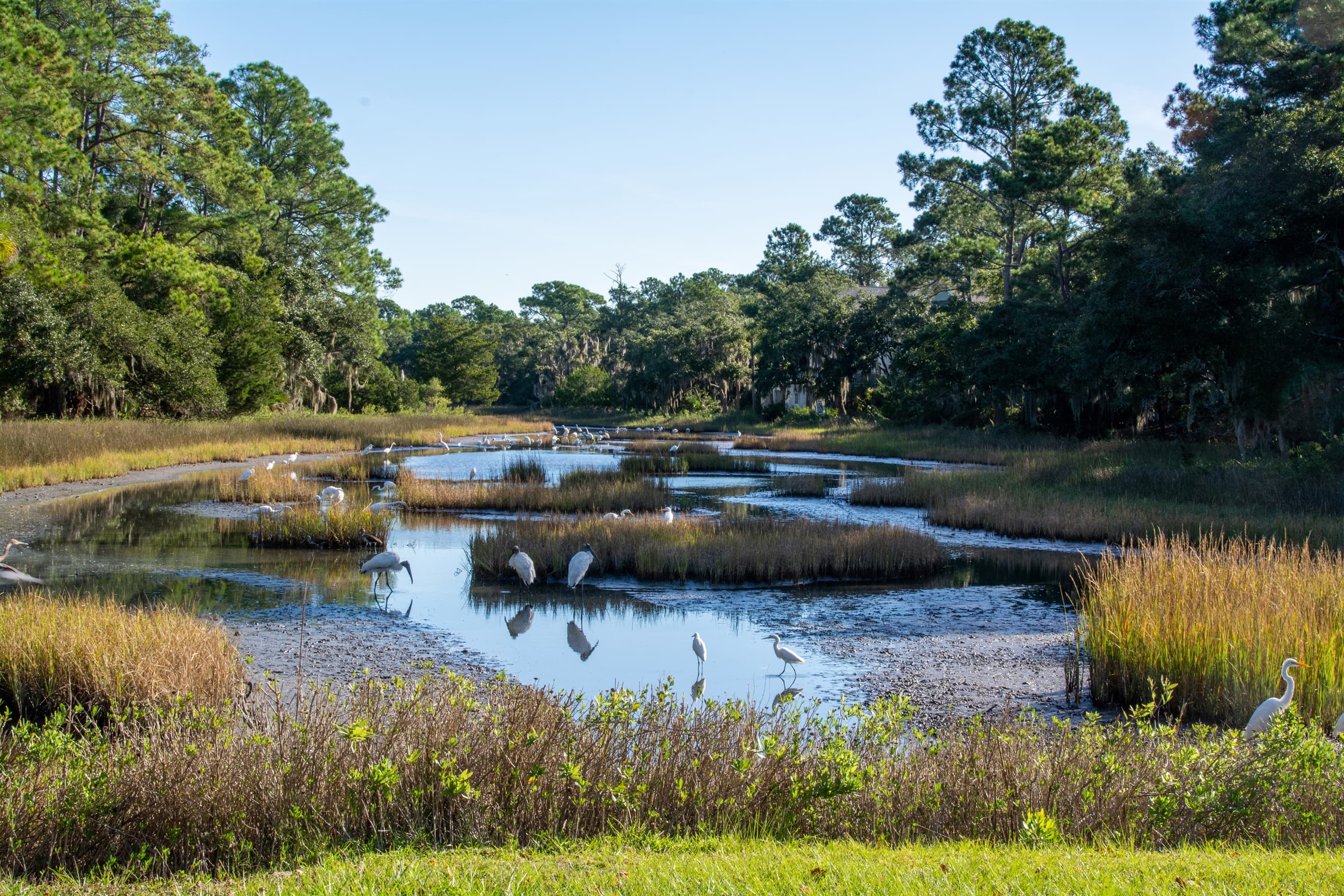Peaceful pond views wrapped in lush greenery.