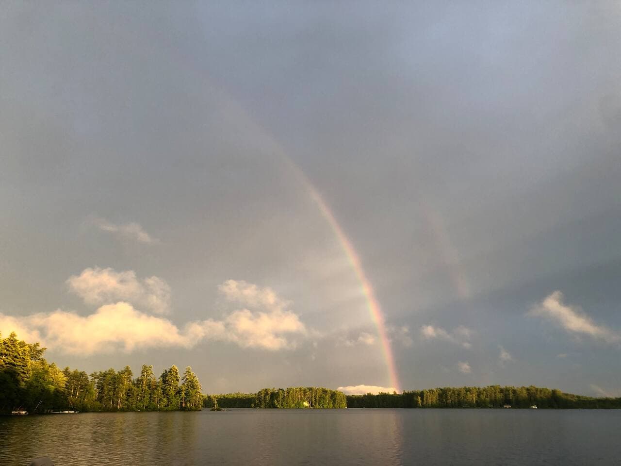 Gallery Image 61
