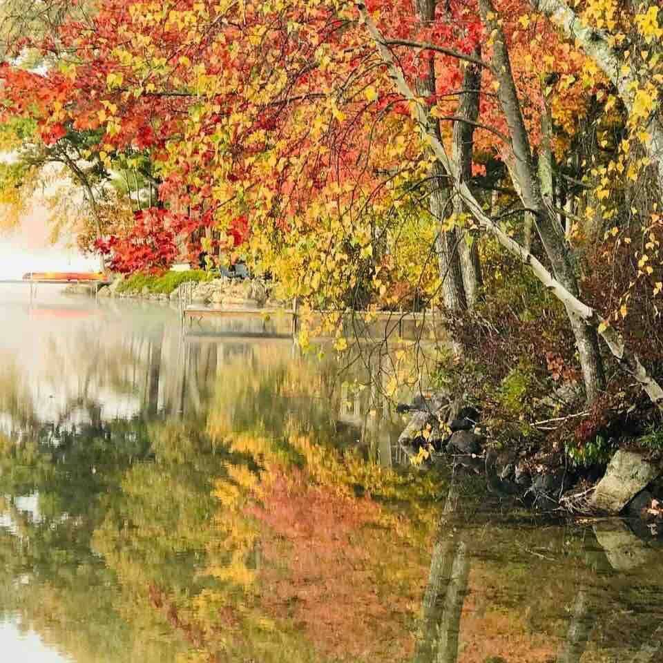 Fall colors - picture taken October 23rd